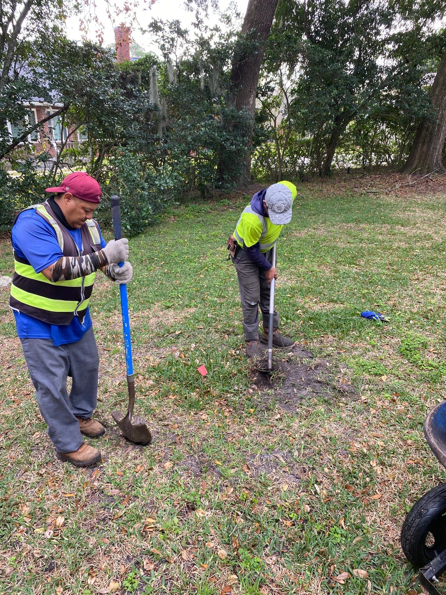 Deerwood | Live Oak Planting Project  by ProGreen Services