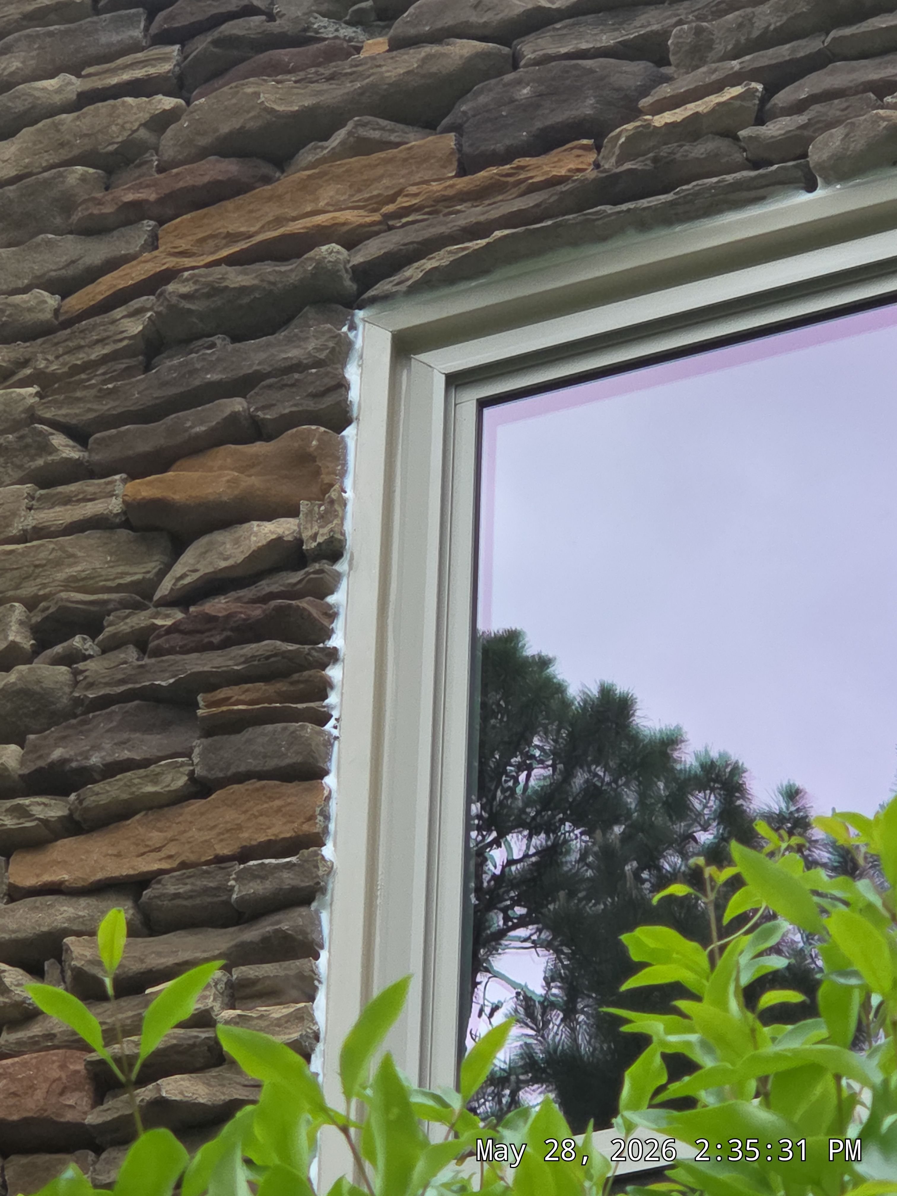 Bruner Project in Helena by The Window Source