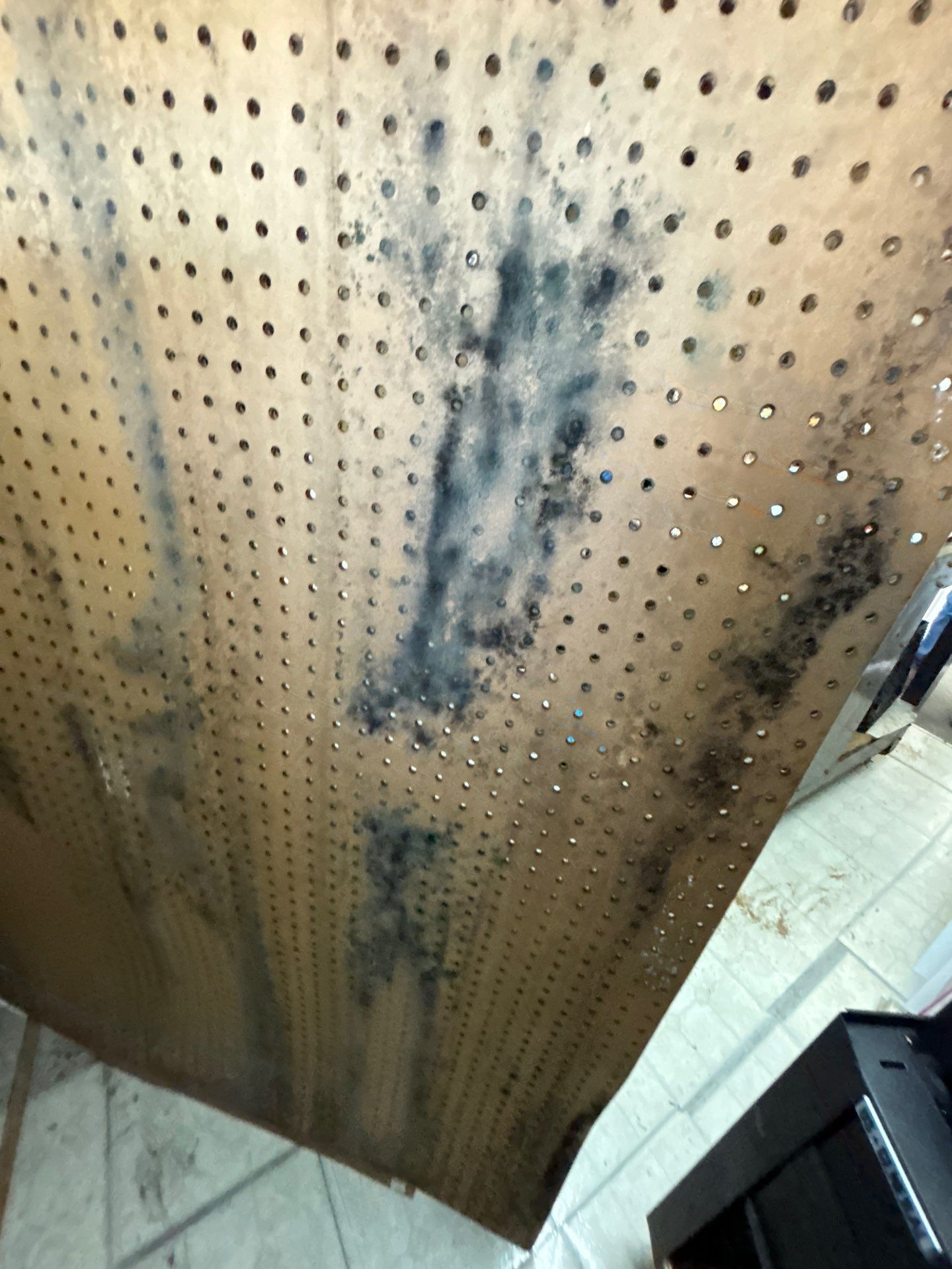 Mold Removal In Palmetto by Ampm Restoration Services