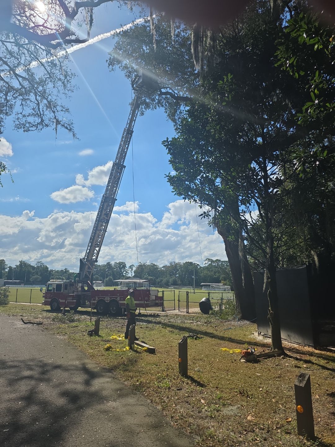 Episcopal | Large Tree Removal by ProGreen Services