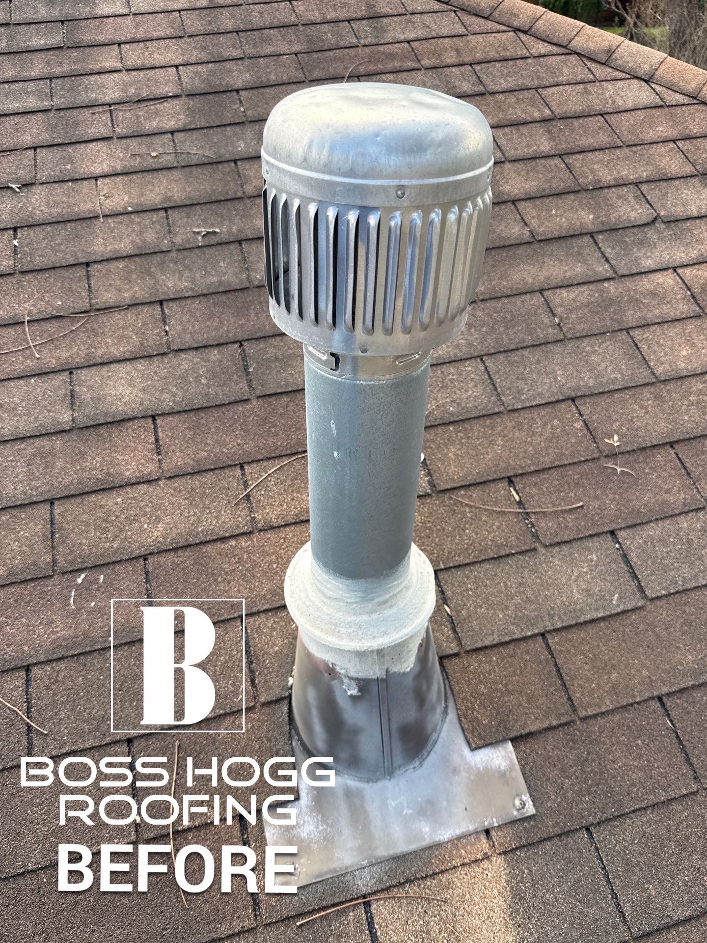 BARB C. by Boss Hogg Roofing