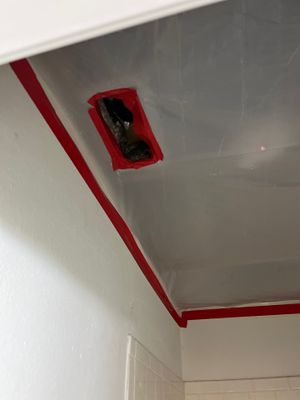 Mold Remediation — Cape Coral, FL
