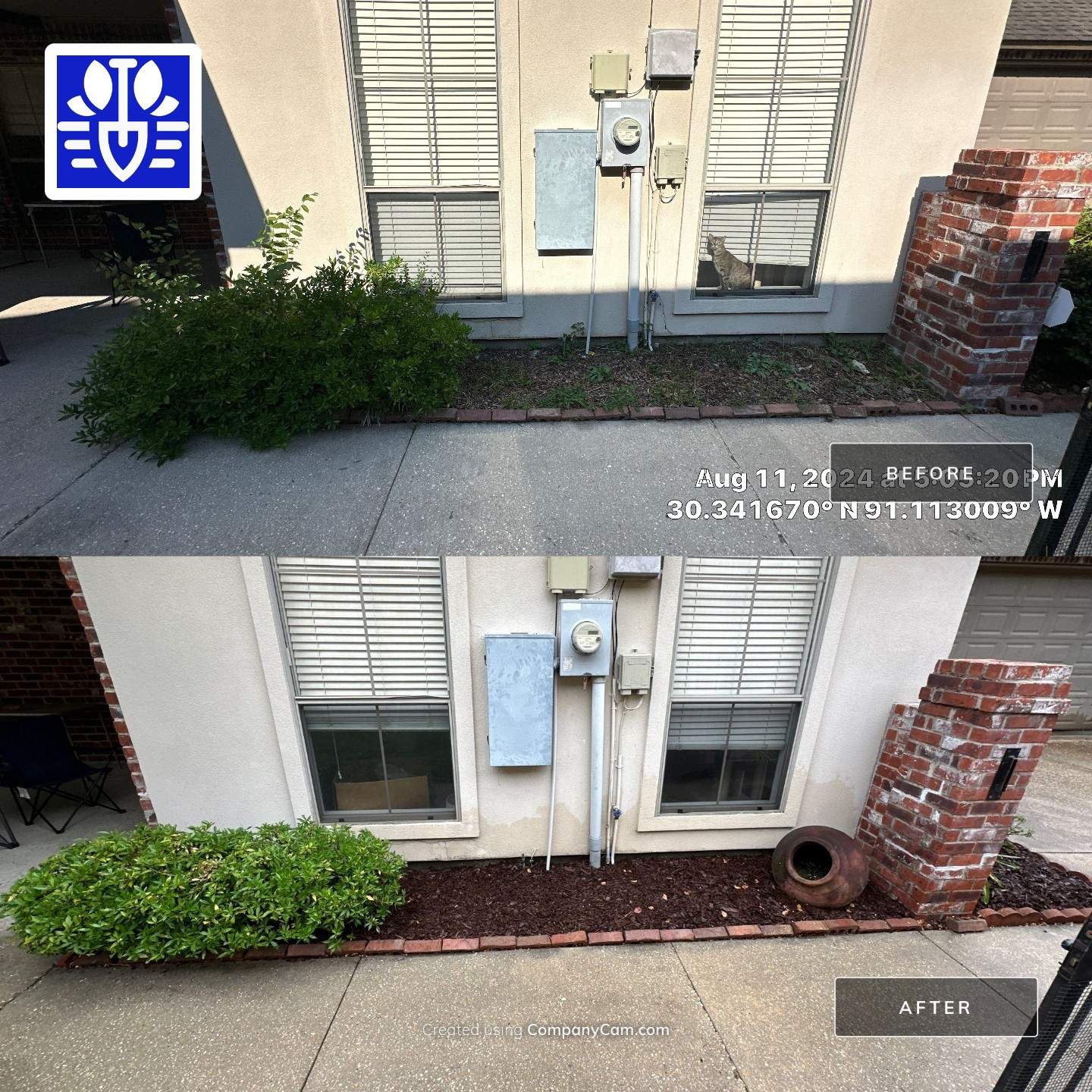 LANDSCAPE SERVICES: DEMO /PREP/ INSTALL / TRIM / MULCH INSTALL by CutScape, LLC.