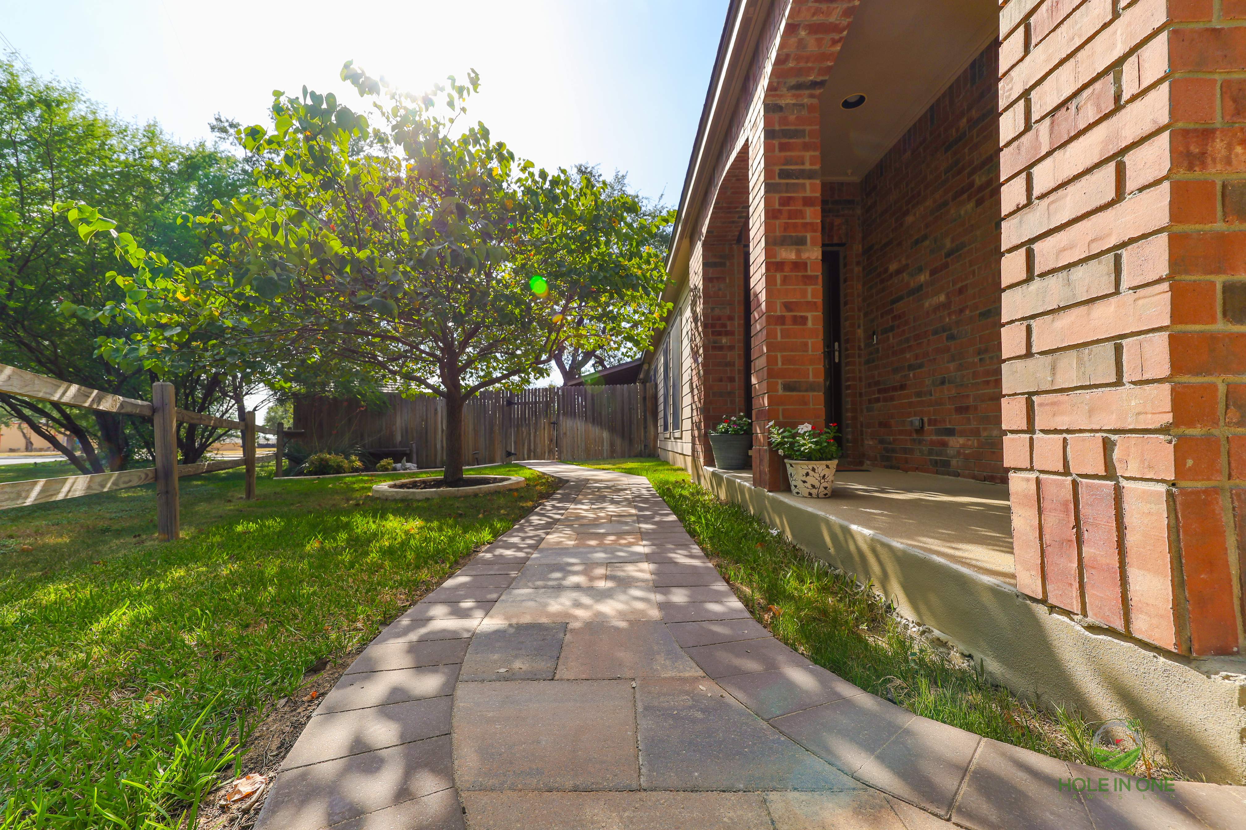 Wortham Oak, San Antonio TX by Hole In One Lawns, LLC