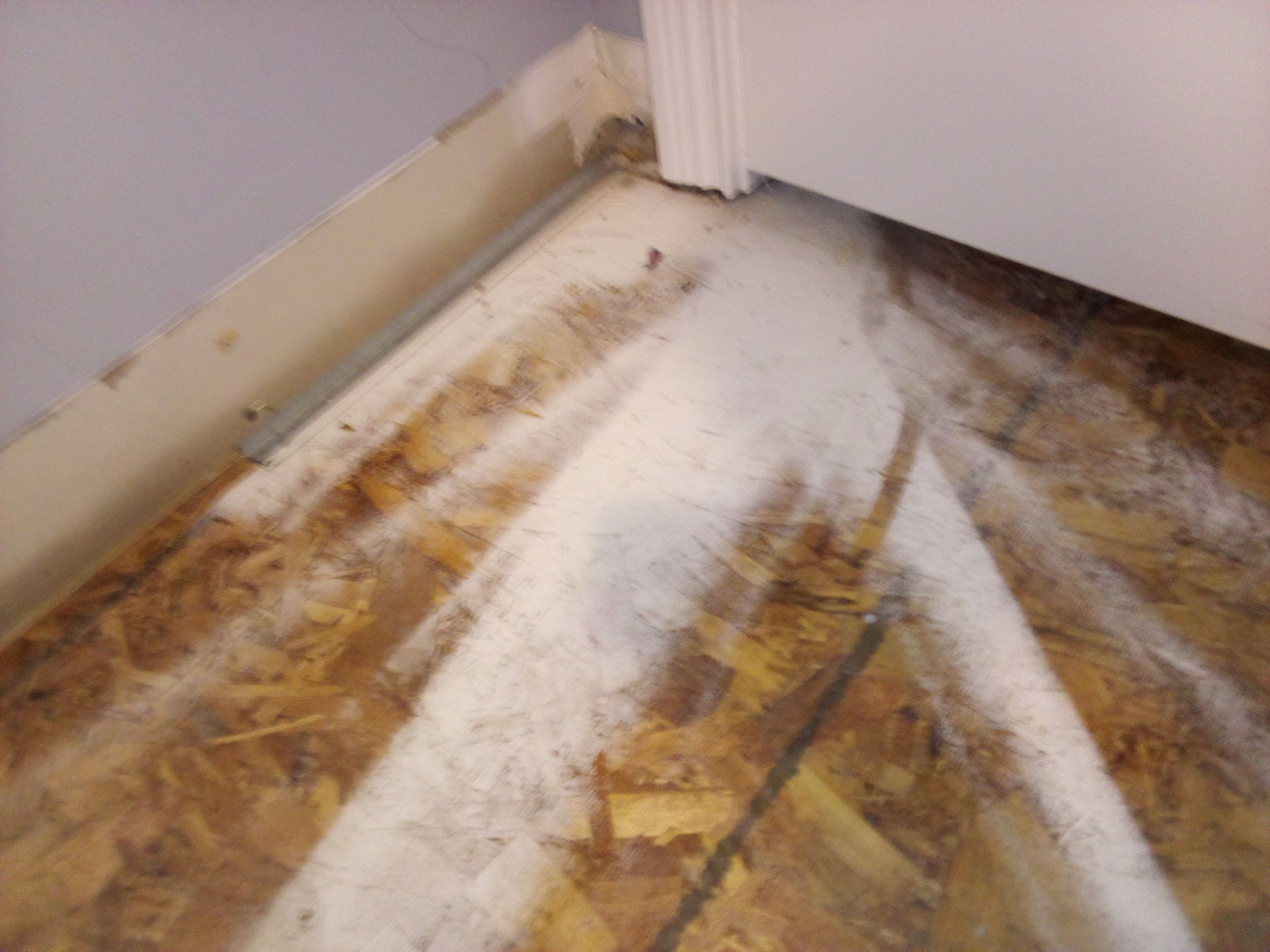 EMS Water Mitigation in Sellersburg, IN by ANR Restoration