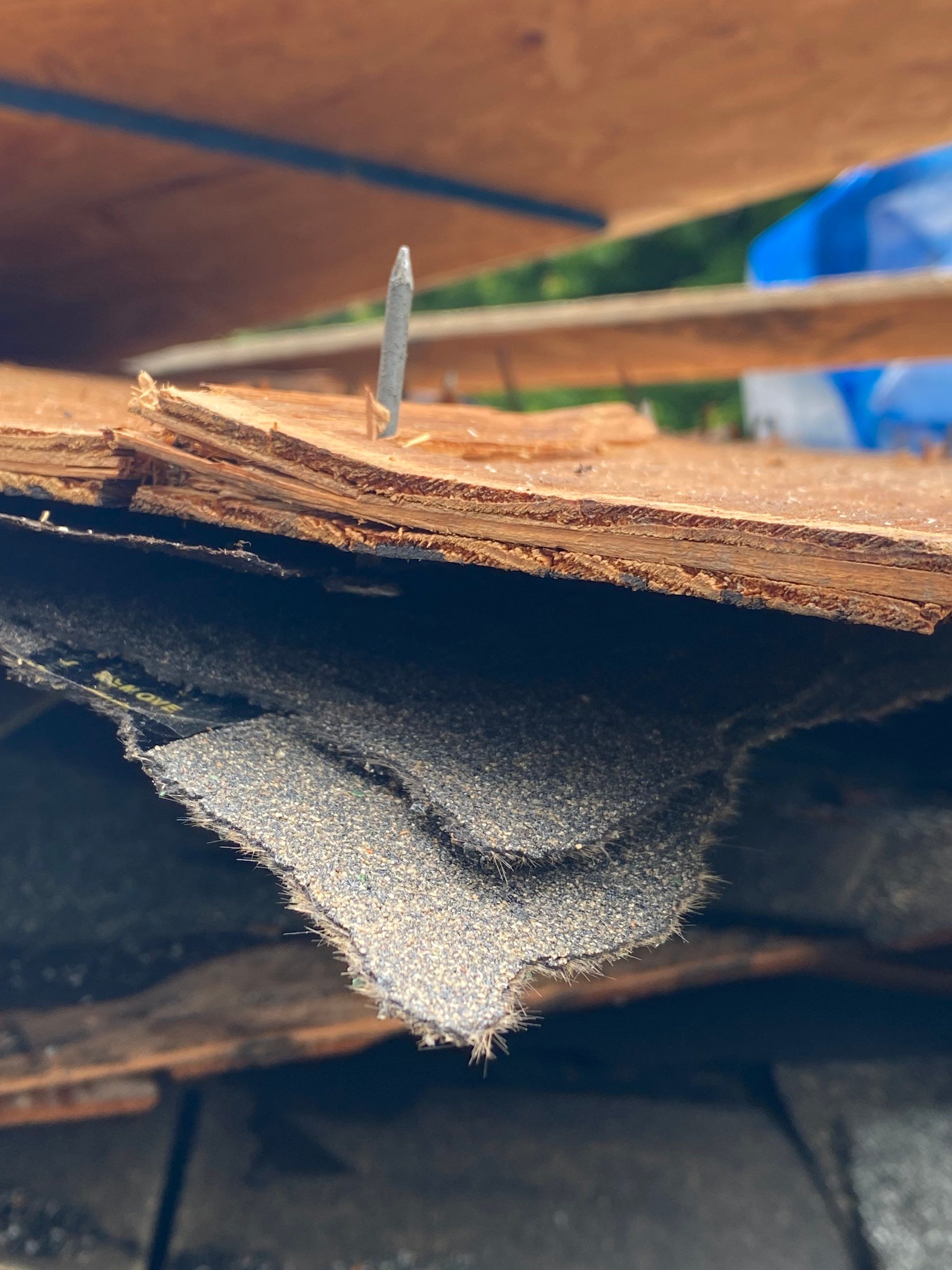 New Roof Installation using new OSB sheathing Certainteed Landmark Shingles by Best Roofing & Siding Company