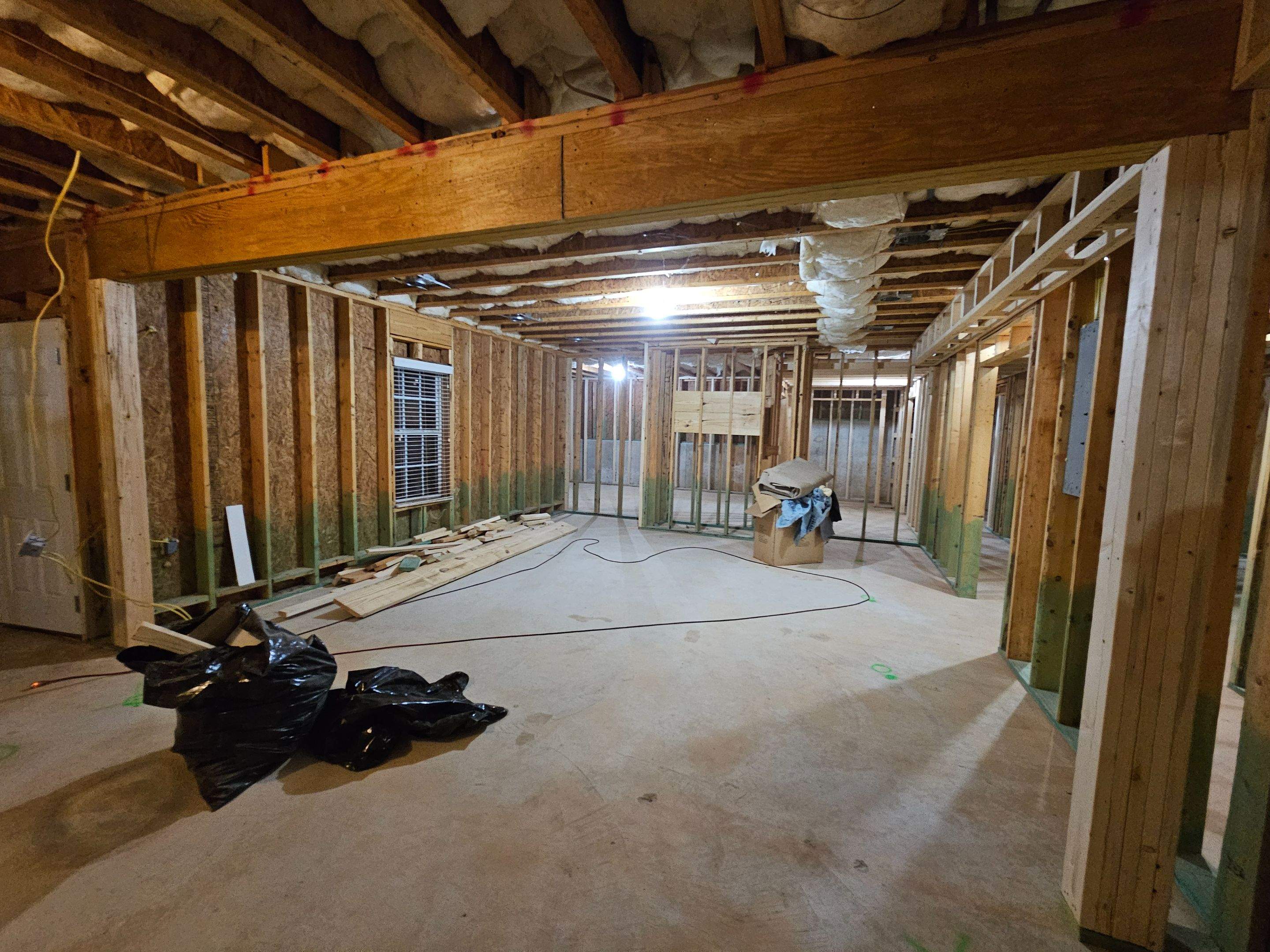 Palmetto Basement by Ajayi Design and Construction 