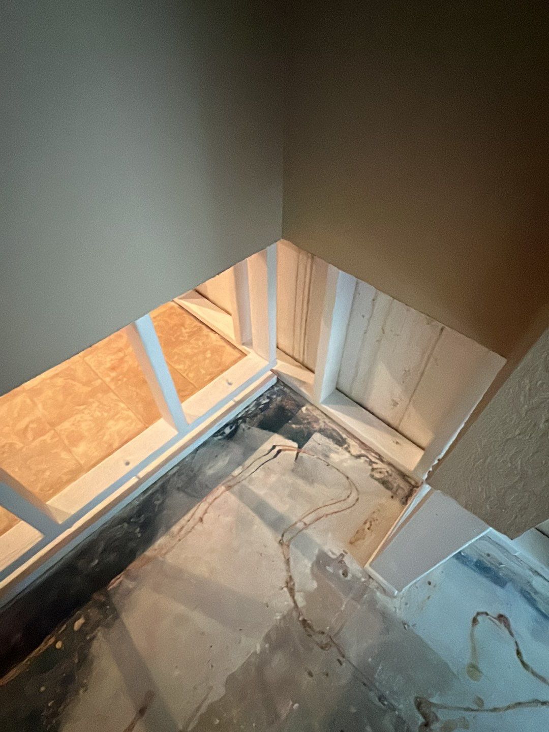 Mold Damage by Accountable Home Services