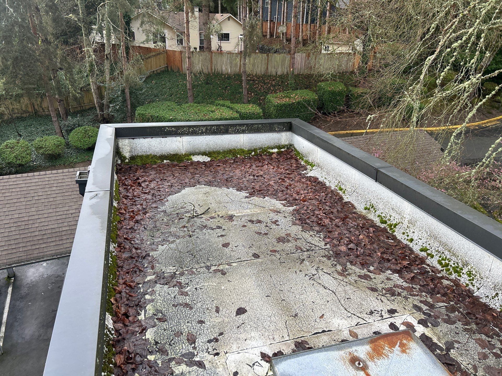 Project in Kirkland by Peaks and Valleys Construction