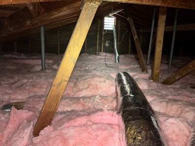 Project in Woodland Hills