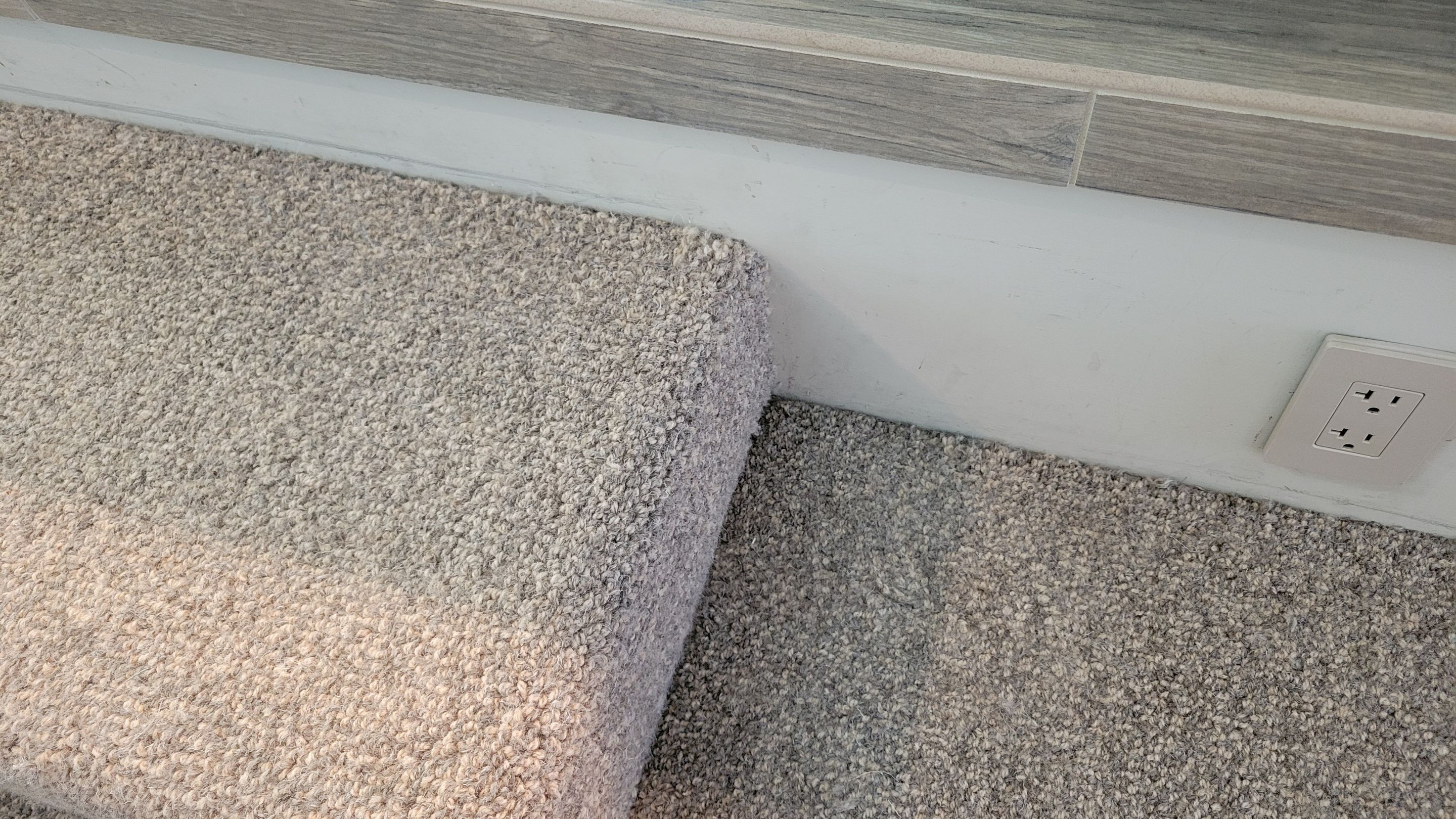 Repairing Wool Carpet Damaged by Moths by Ardent Carpet Restore LLC