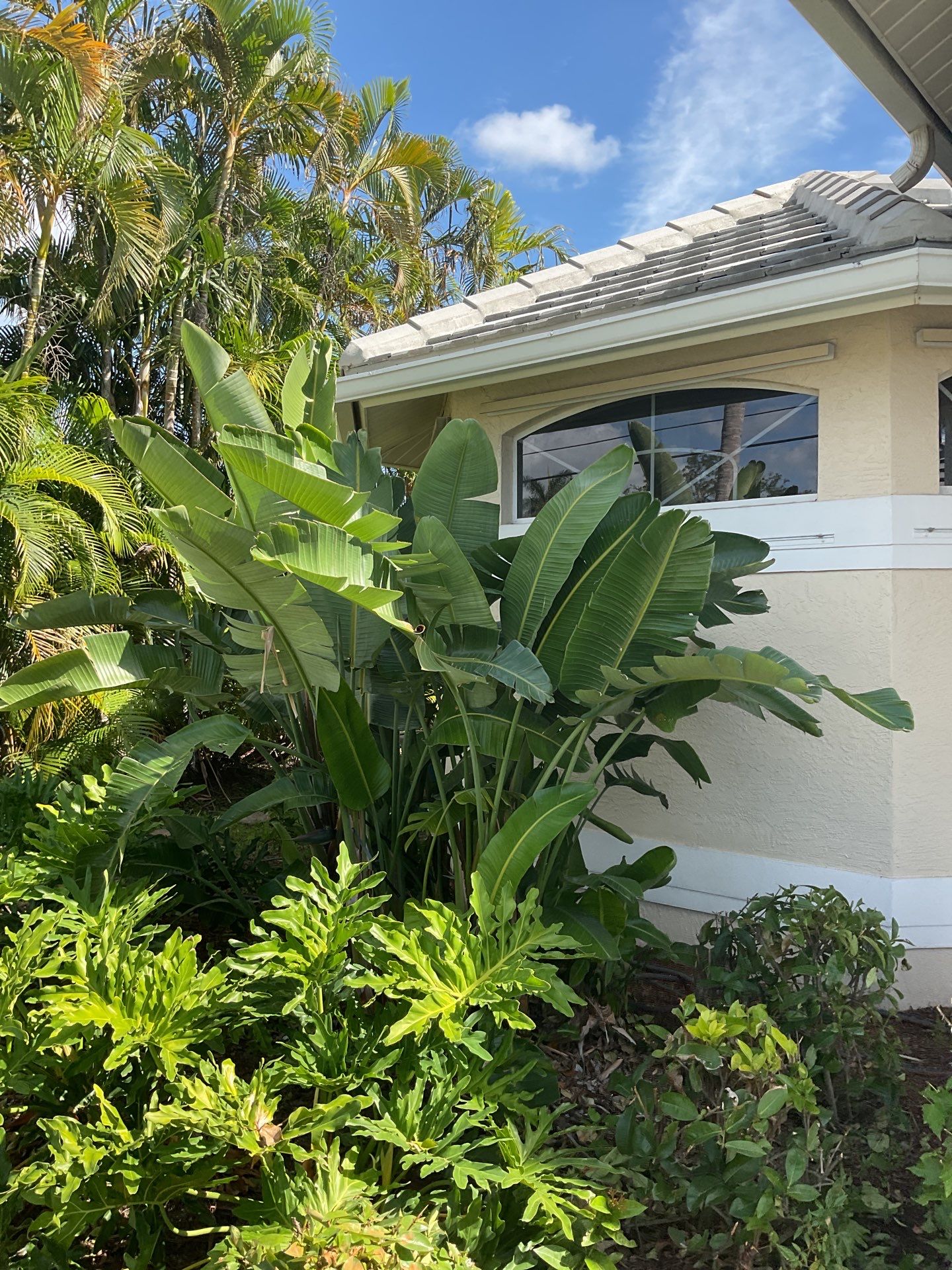Seamless Gutters using Splash Guard in Cape Coral FL by Gutter Professors