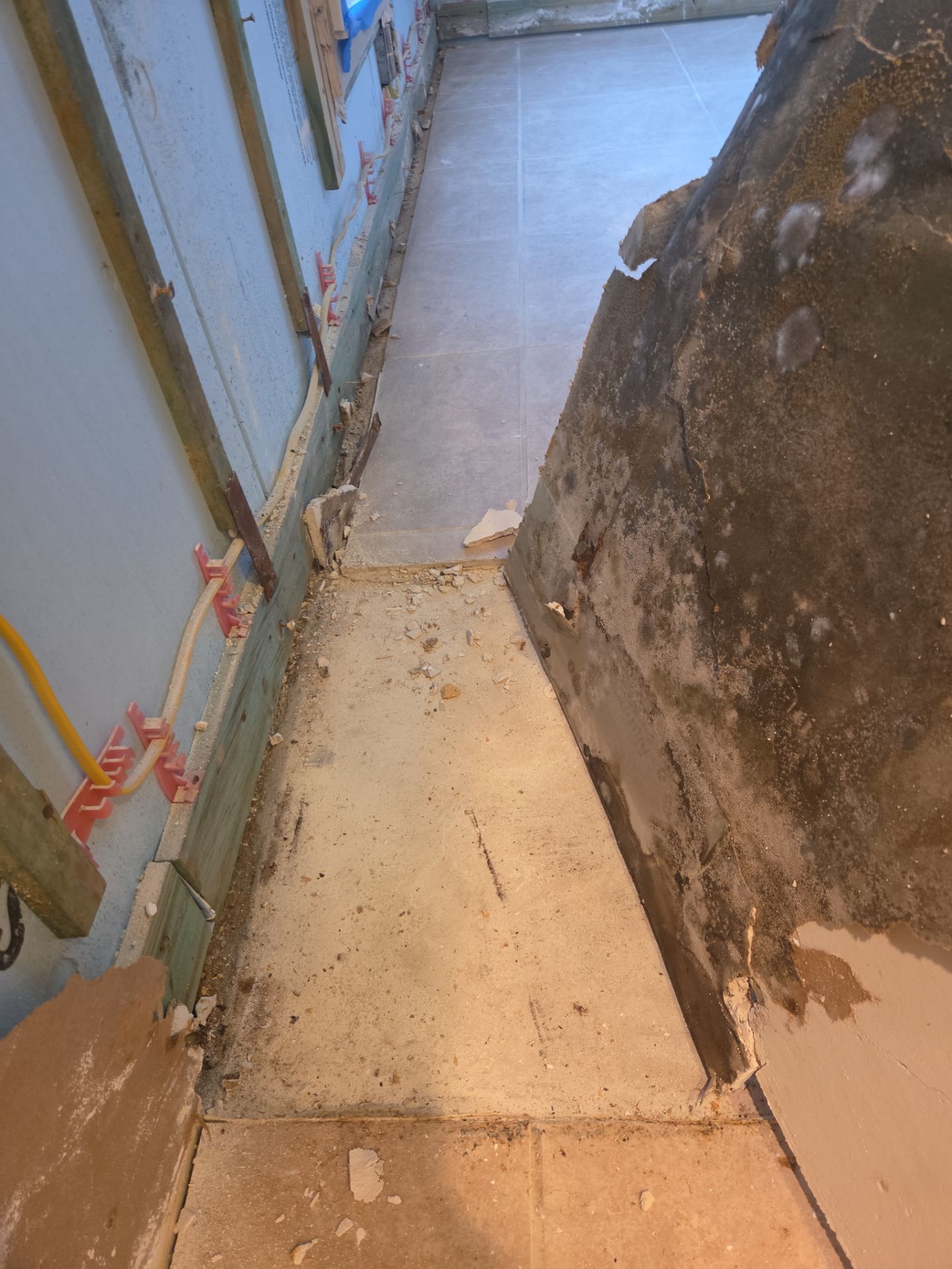 Fort Myers Water Damage Restoration and Professional Mold Remediation by Microscope