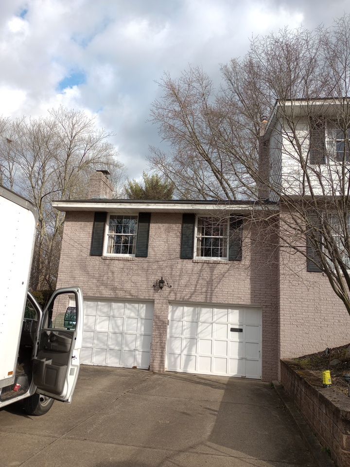Rosemary Shaheen by Silver Leaf Contracting 