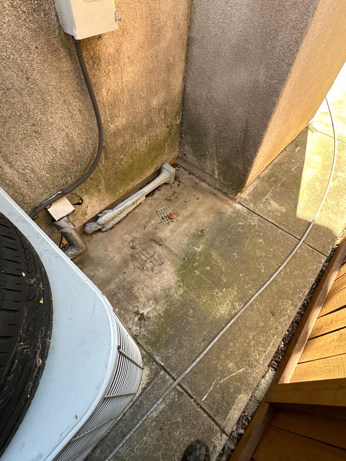 This home was COVERED in growth by Property Cleaning Experts, LLC
