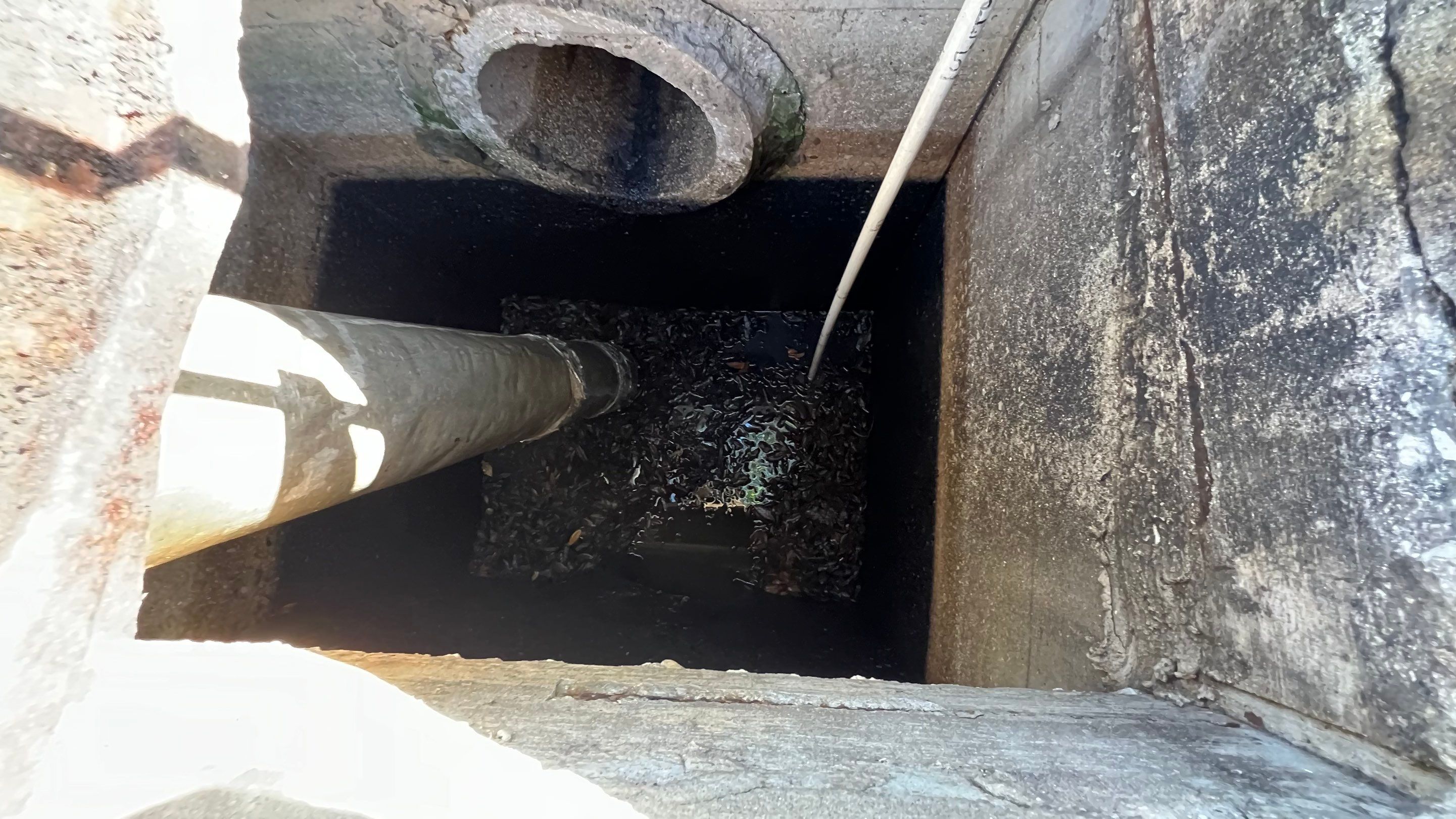 North Naples Neighborhood Catch Basin Cleaning by APS Power & Water