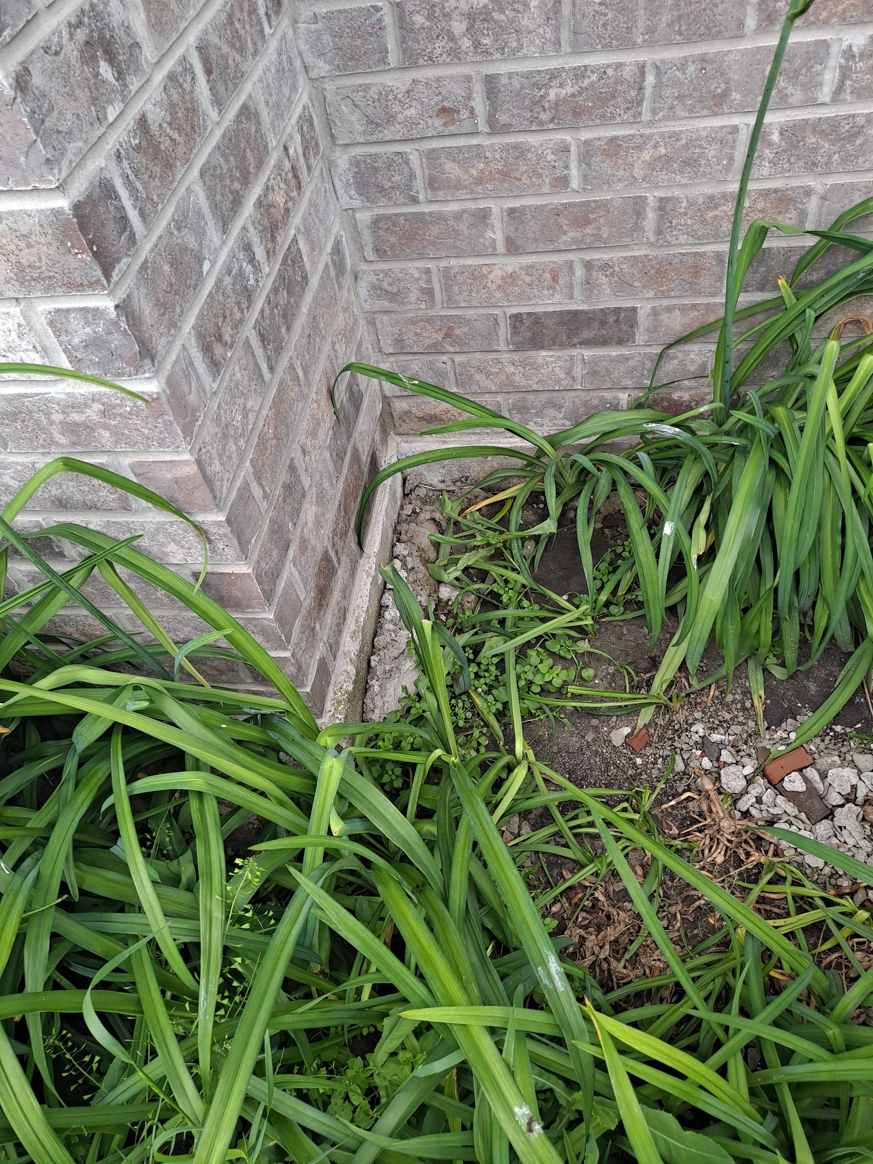 Foundation Crack Injection by Allied Water Services
