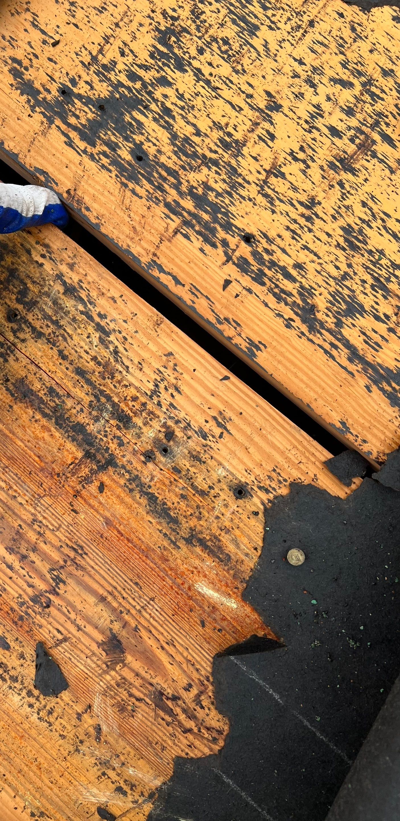 Roofing & siding replacement after hail storm damage. by In & Out Construction & Remodeling, LLC