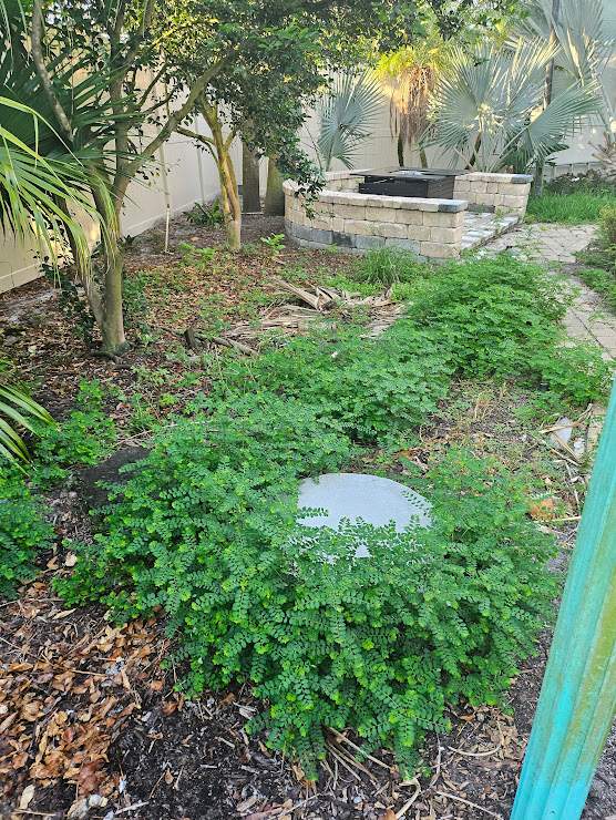 Landscape Install & Clean Up | Residence by ProGreen Services