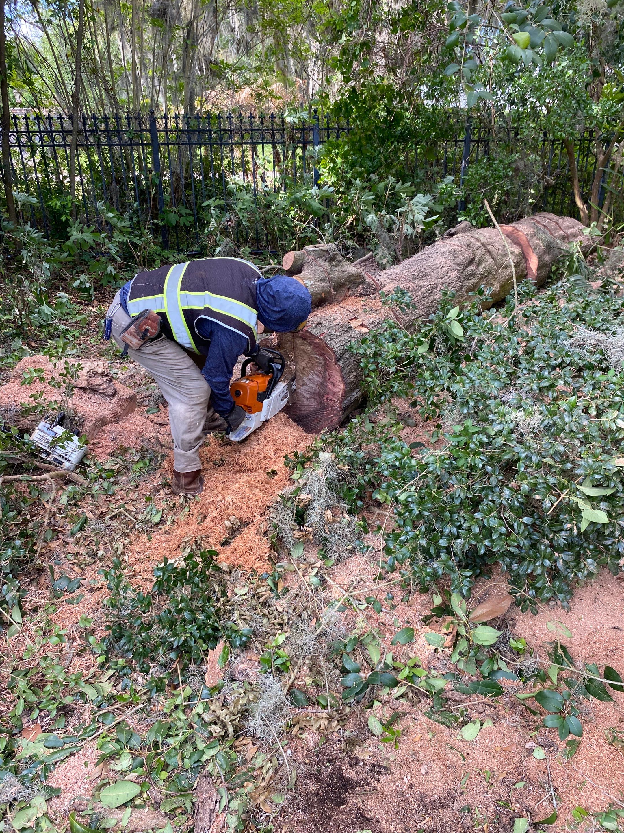 Residential | Tree Removal by ProGreen Services