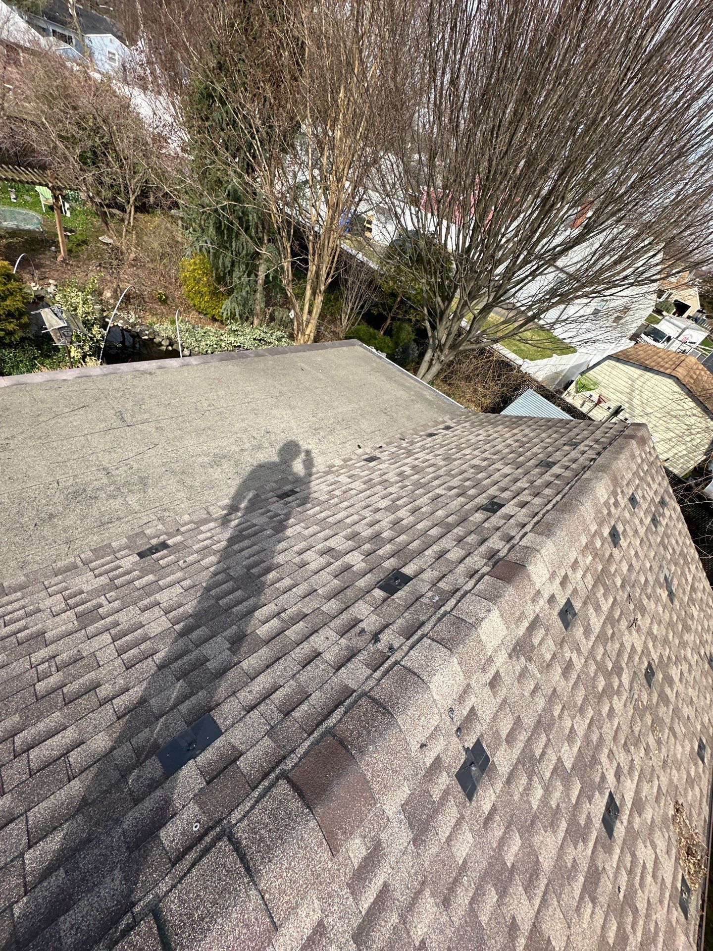 Desert Tan Shingles by Reimagine Roofing