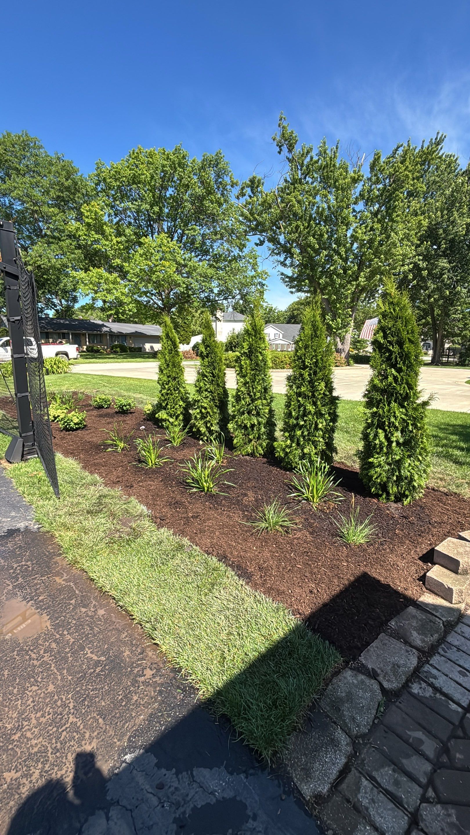 Anne P. - Arlington Heights, IL by A&N 