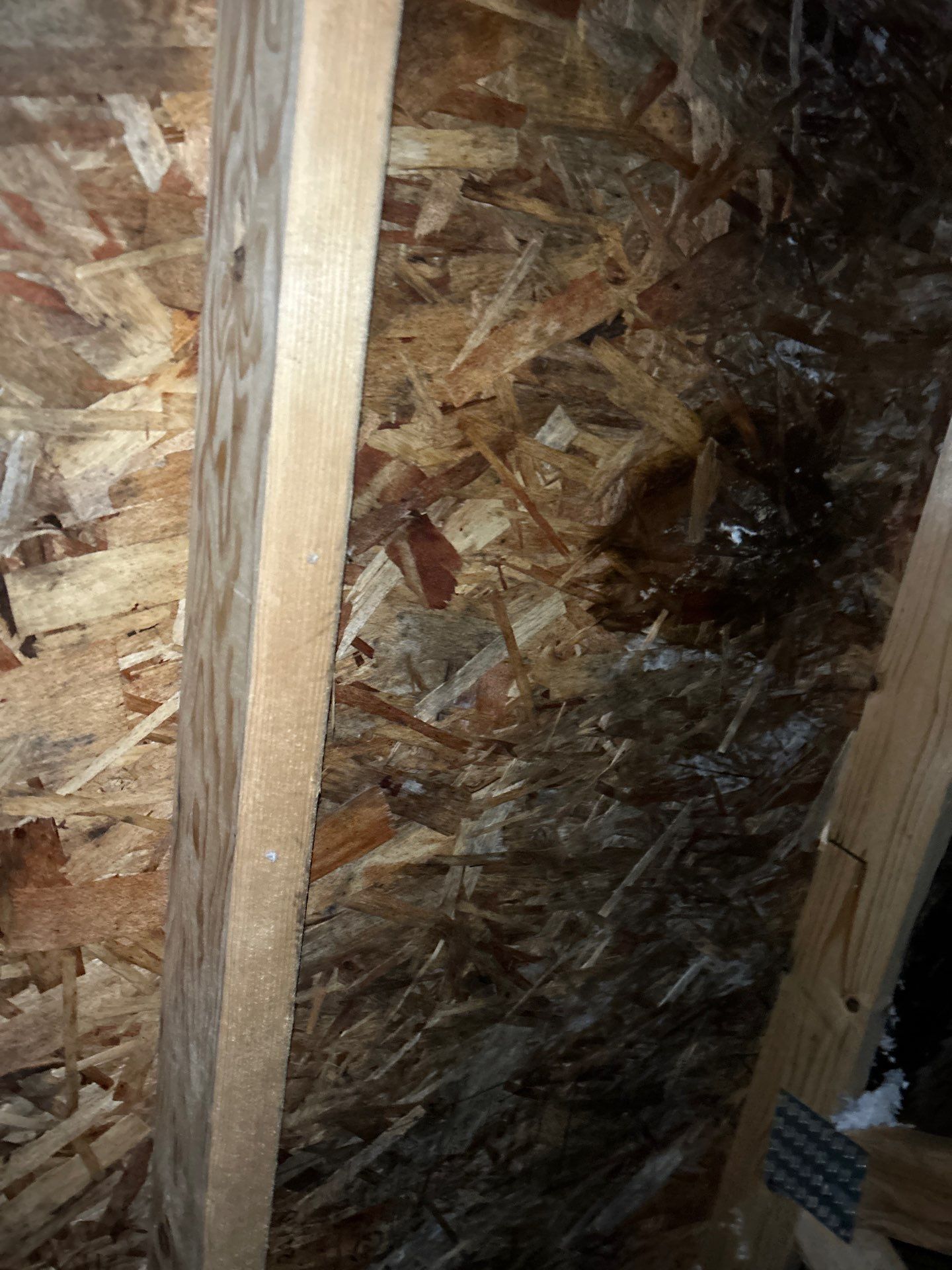 Project in Mount Vernon by Peaks and Valleys Construction