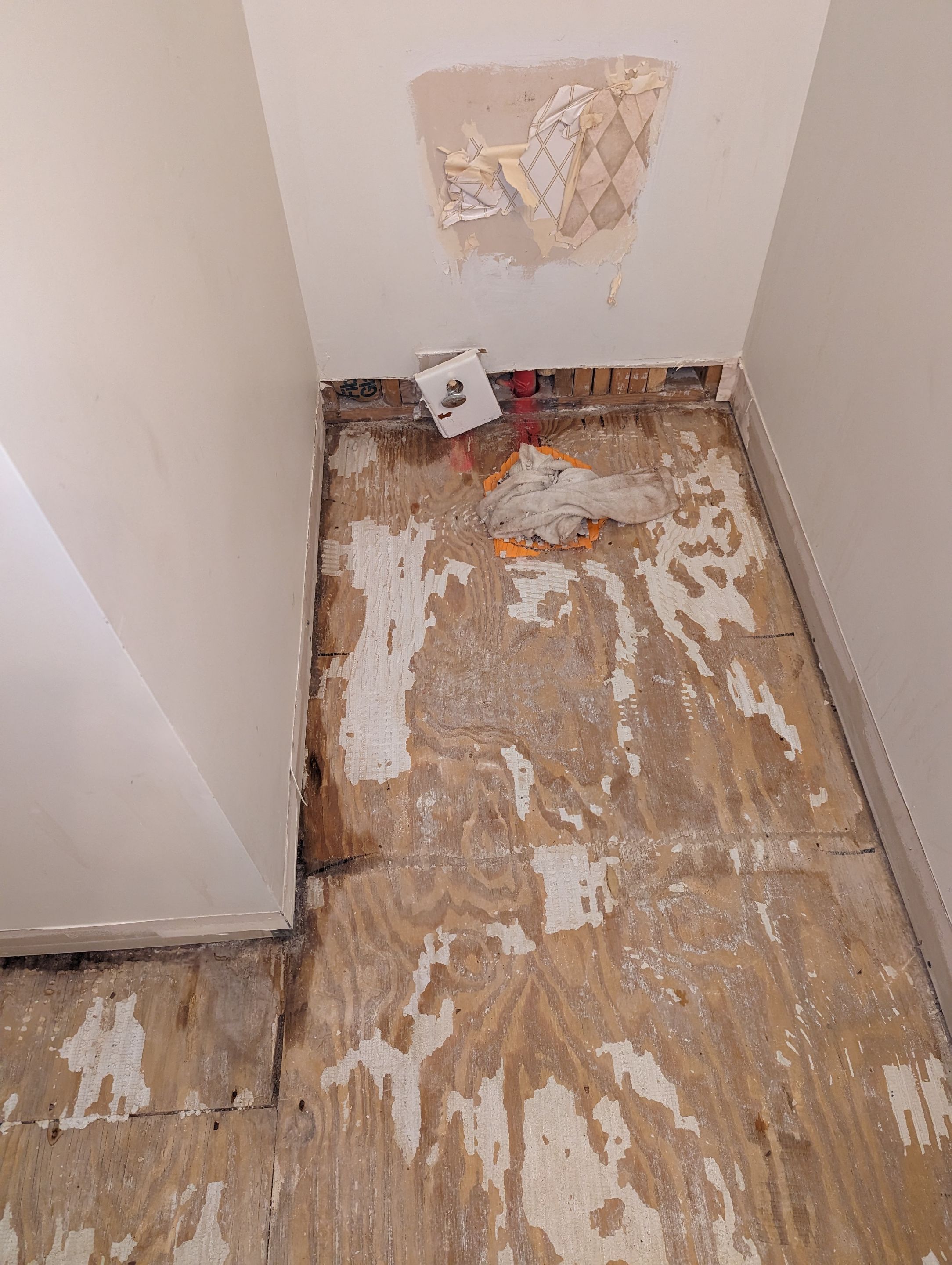 Mold Remediation and Water Mitigation in Louisville, KY by ANR Restoration