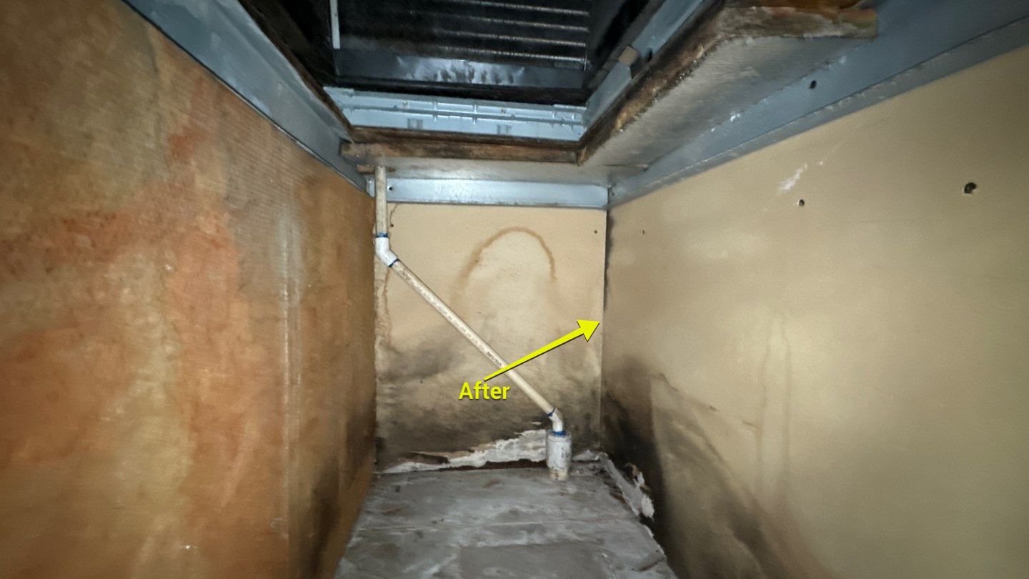 Commercial Air Duct Cleaning in Tavares by Hygienic Air, Inc