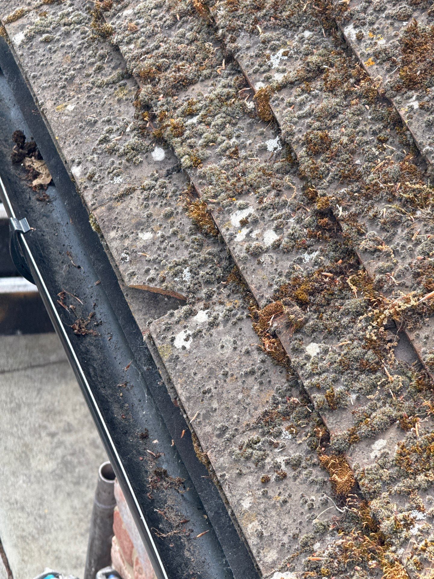Roof Cleaning by Ges Exterior Cleaning ltd