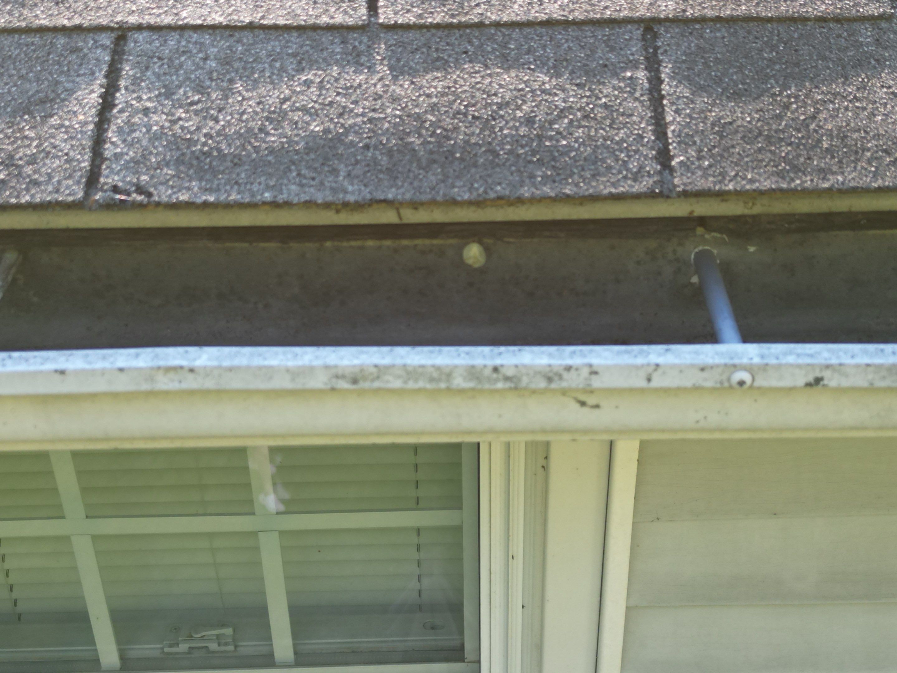 Roof & Gutter Replacement – Westford, MA by Mighty Dog Roofing of Greater Middlesex County