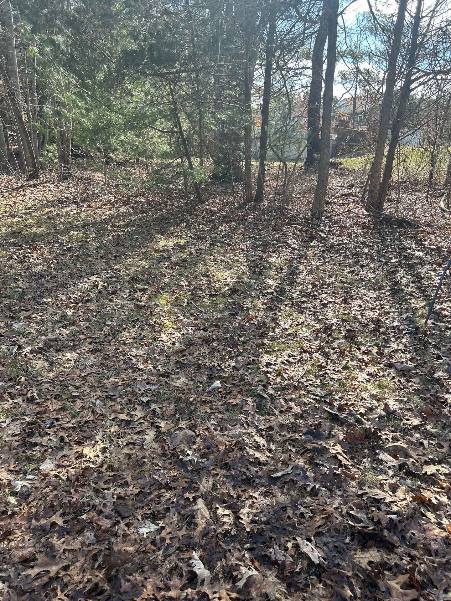 Landscape Walkthrough by LaMere Landscaping and Property Maintenance