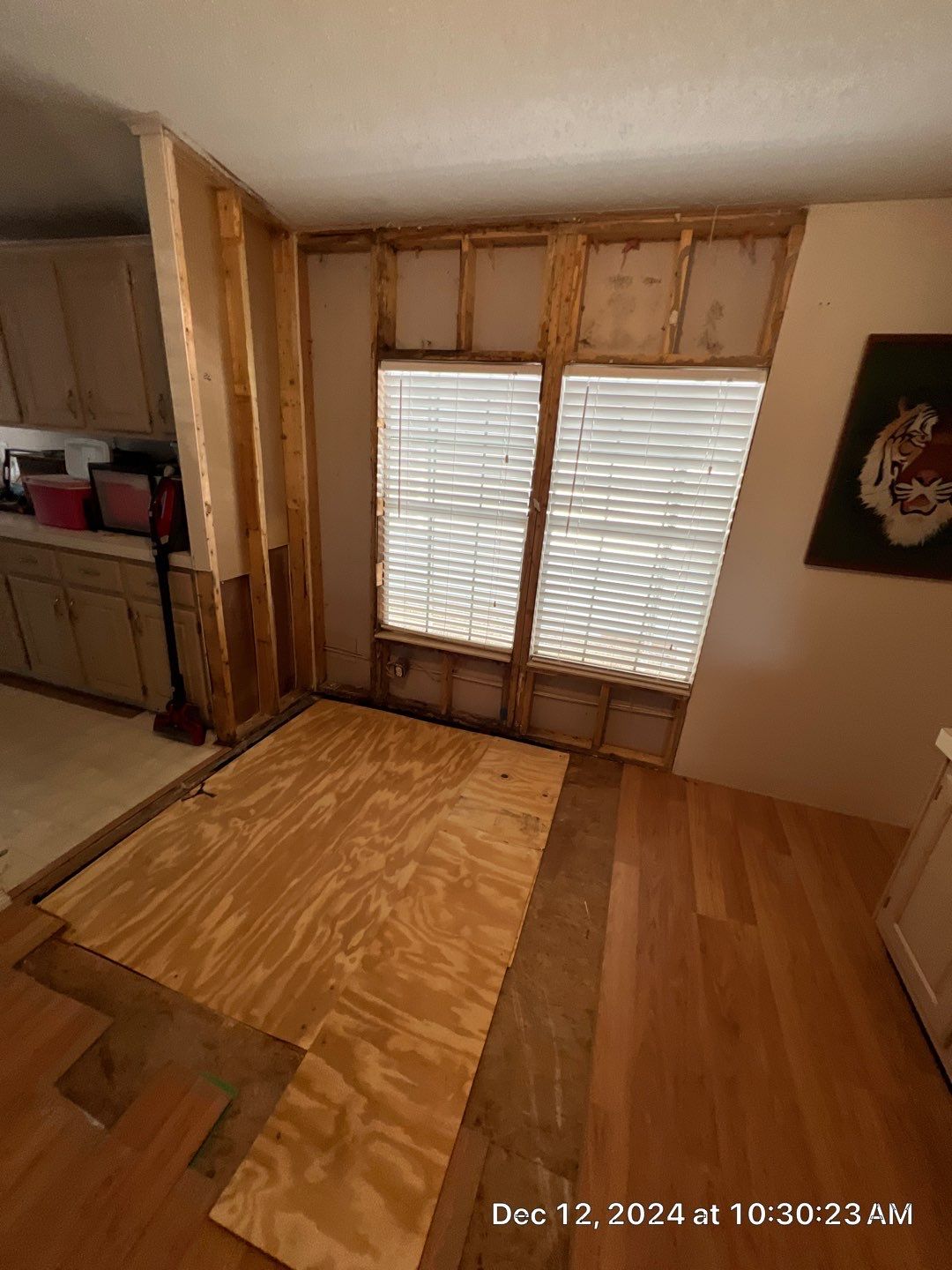 Mold Remediation Palmetto by Ampm Restoration Services 