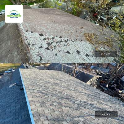 Estate Gray Shingles