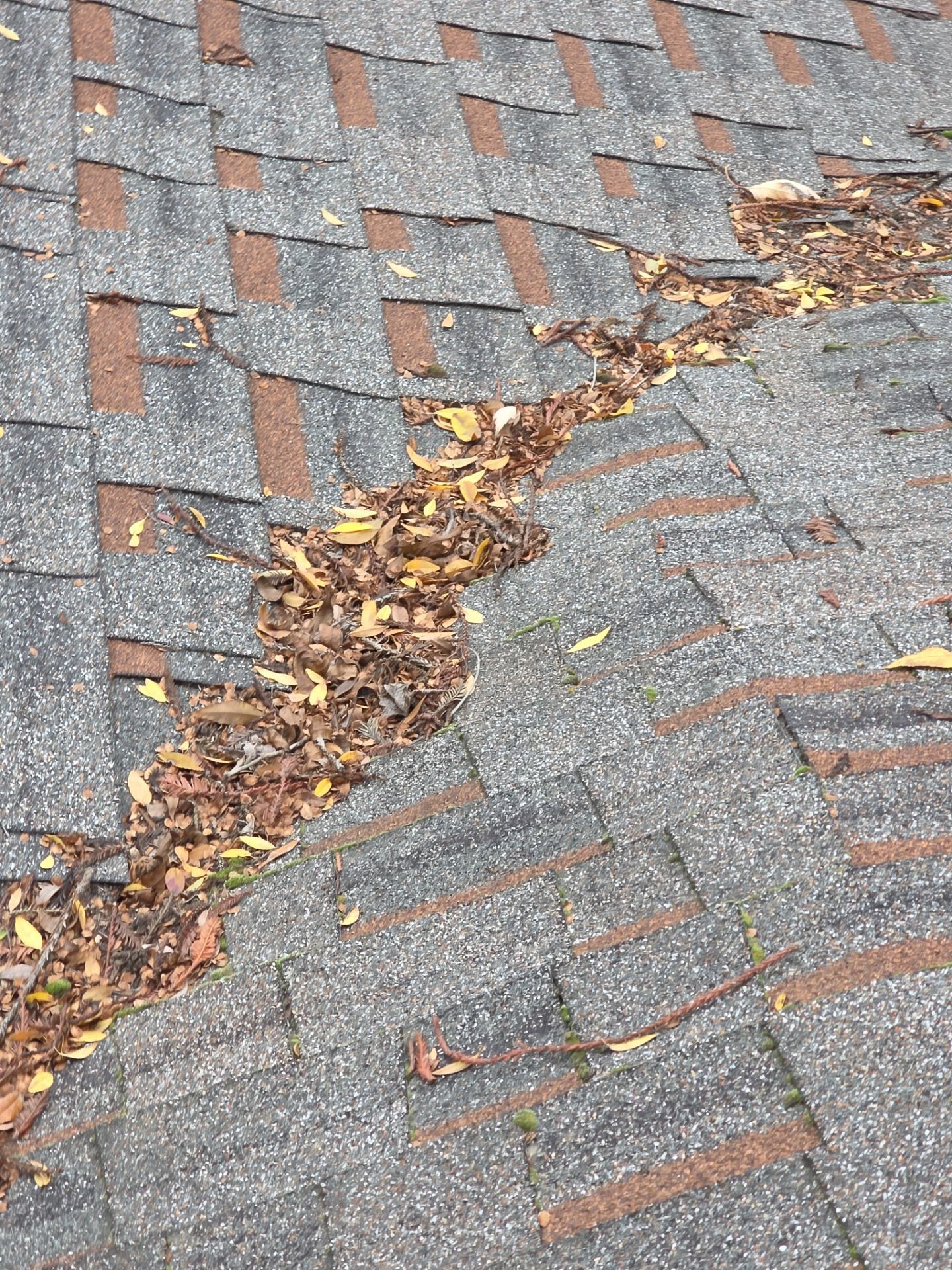 Roof Rejuvenation using Roof Maxx Treatment by Roof Maxx of Folsom