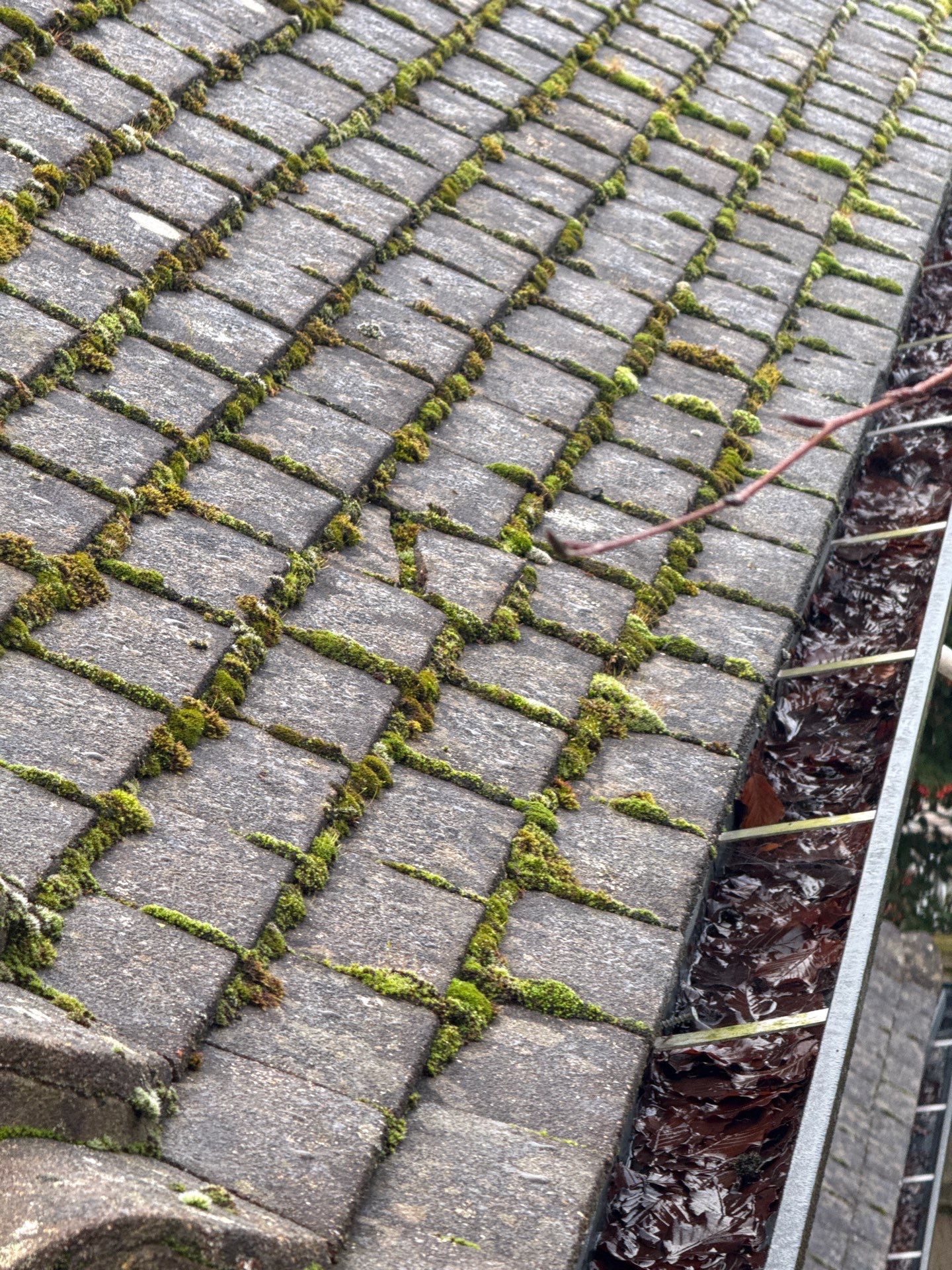 Roof Cleaning by Ges Exterior Cleaning ltd