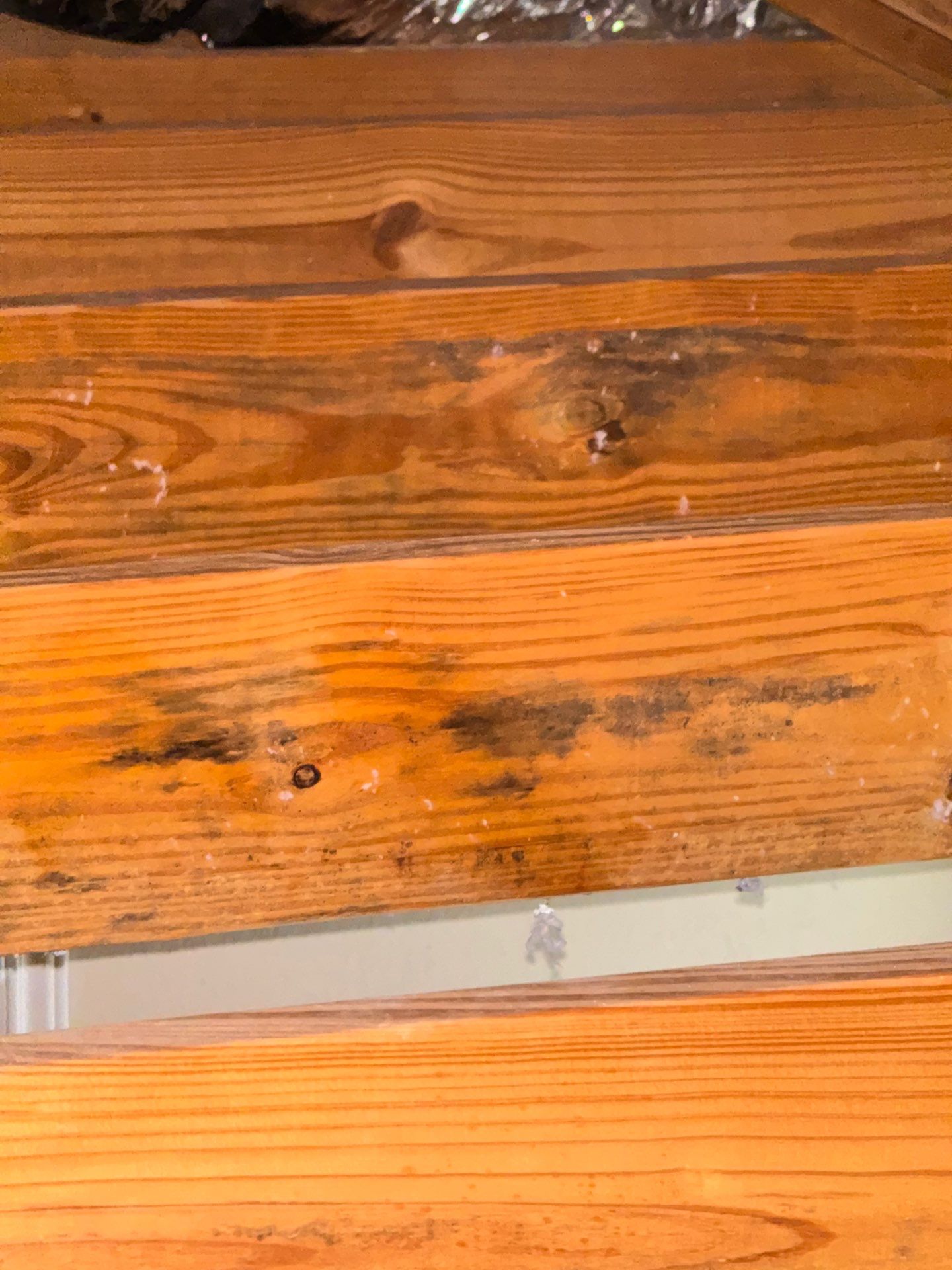 Mold Remediation Job in Katy by Team Home Solutions
