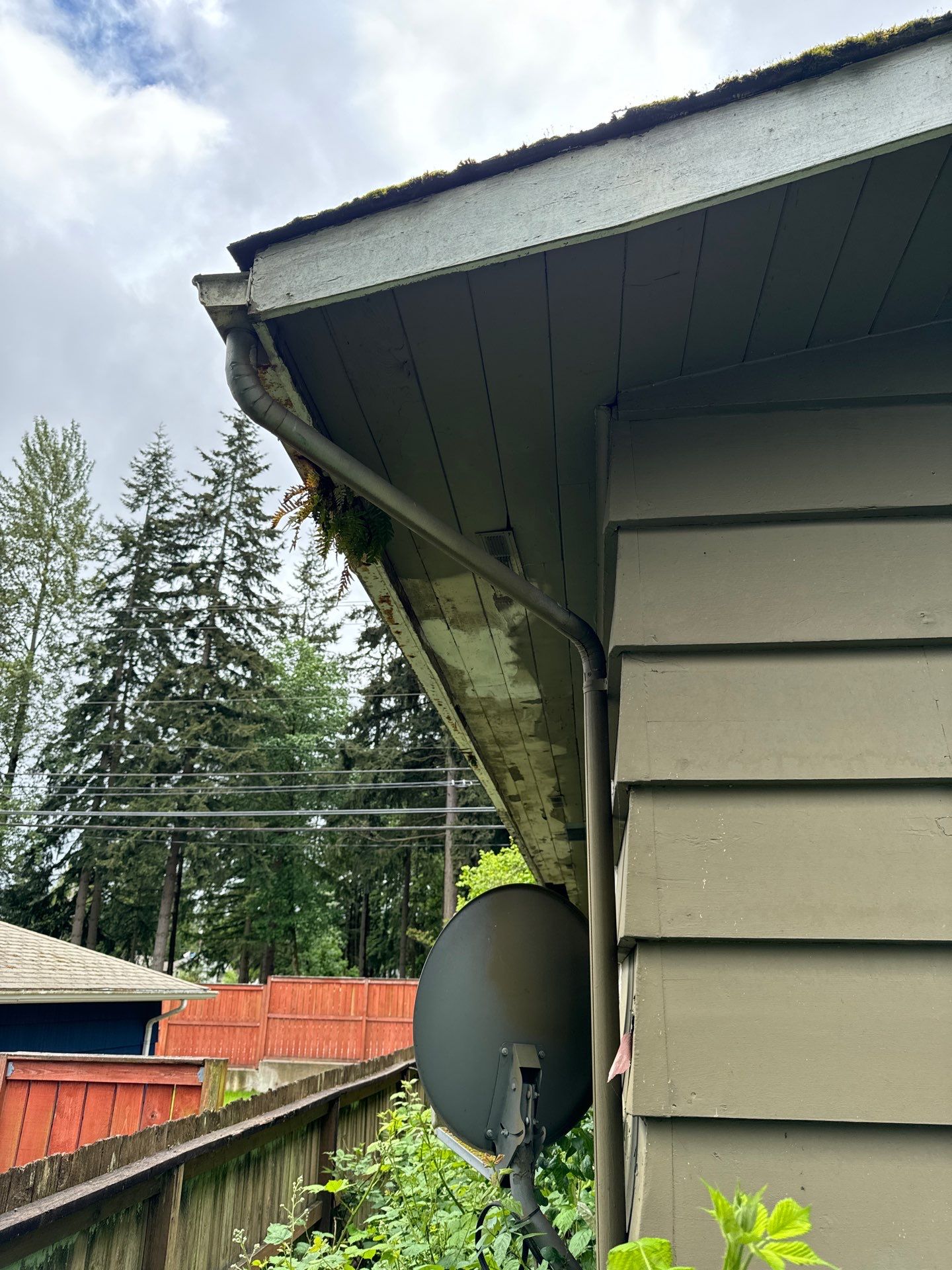 Project in Everett by Peaks and Valleys Construction