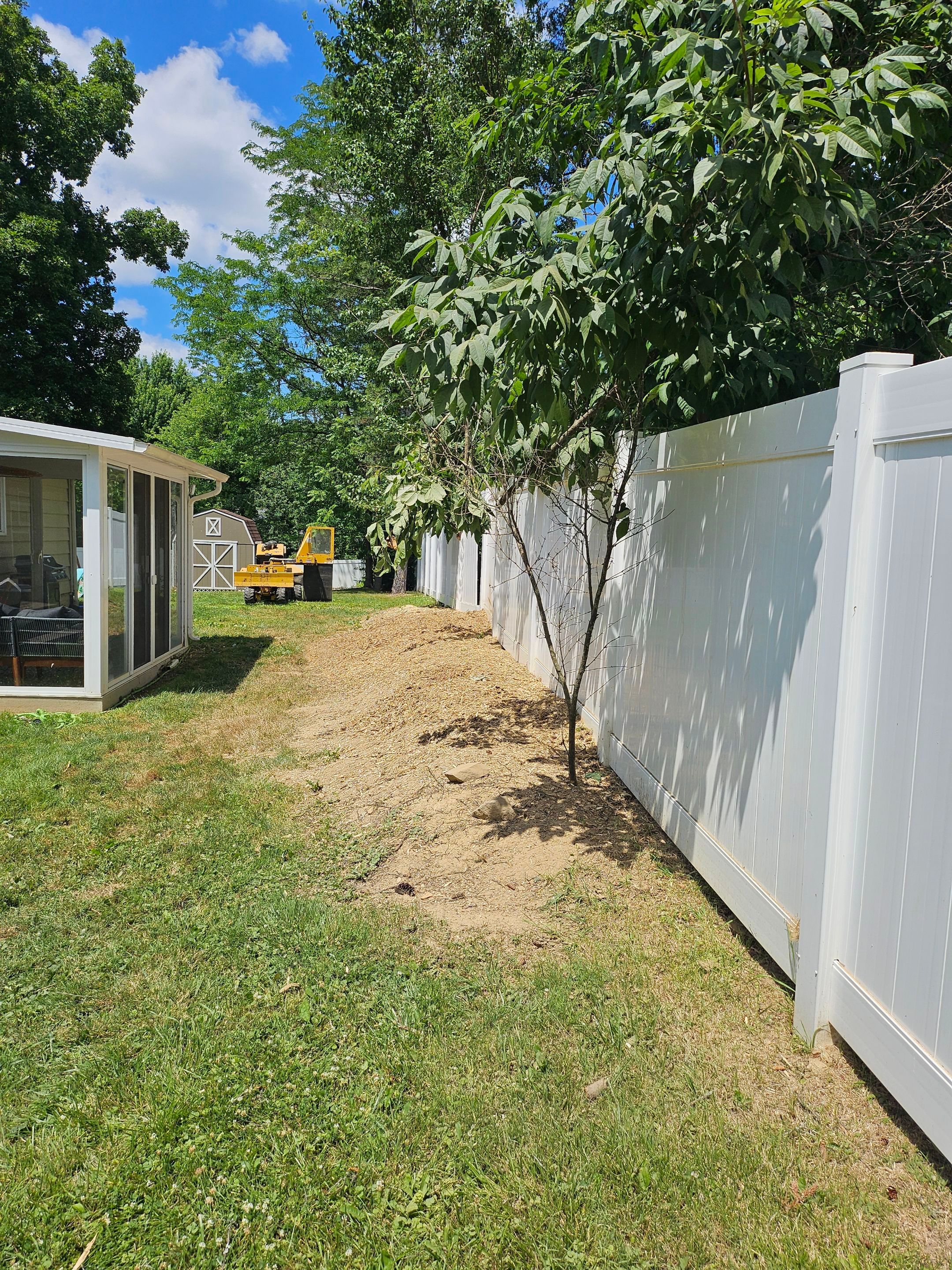 Tree Removal using Tree Removal by Mike Jones & Sons Tree Service LLC 