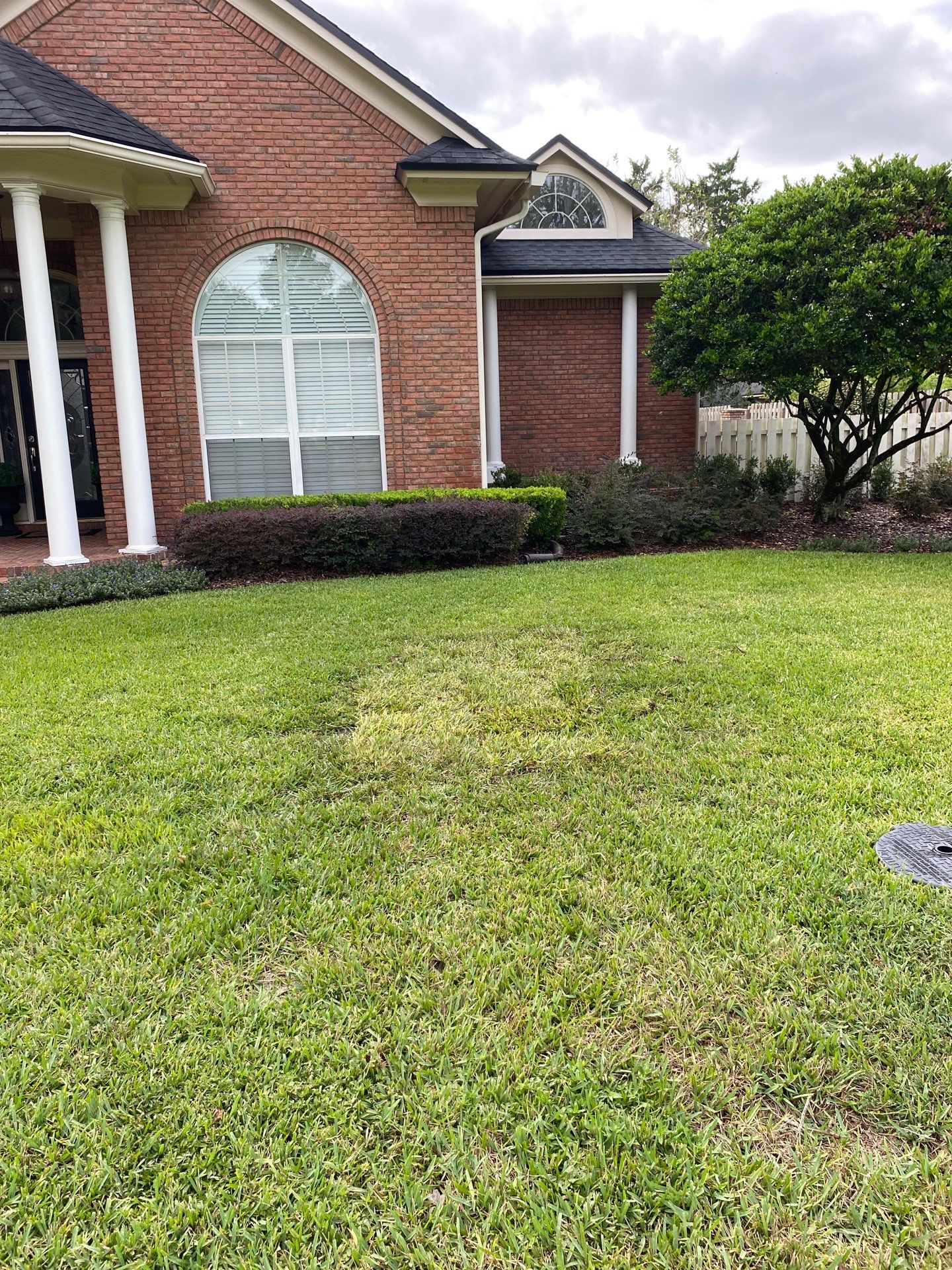 Deerwood Resident | Sod Replacement by ProGreen Services