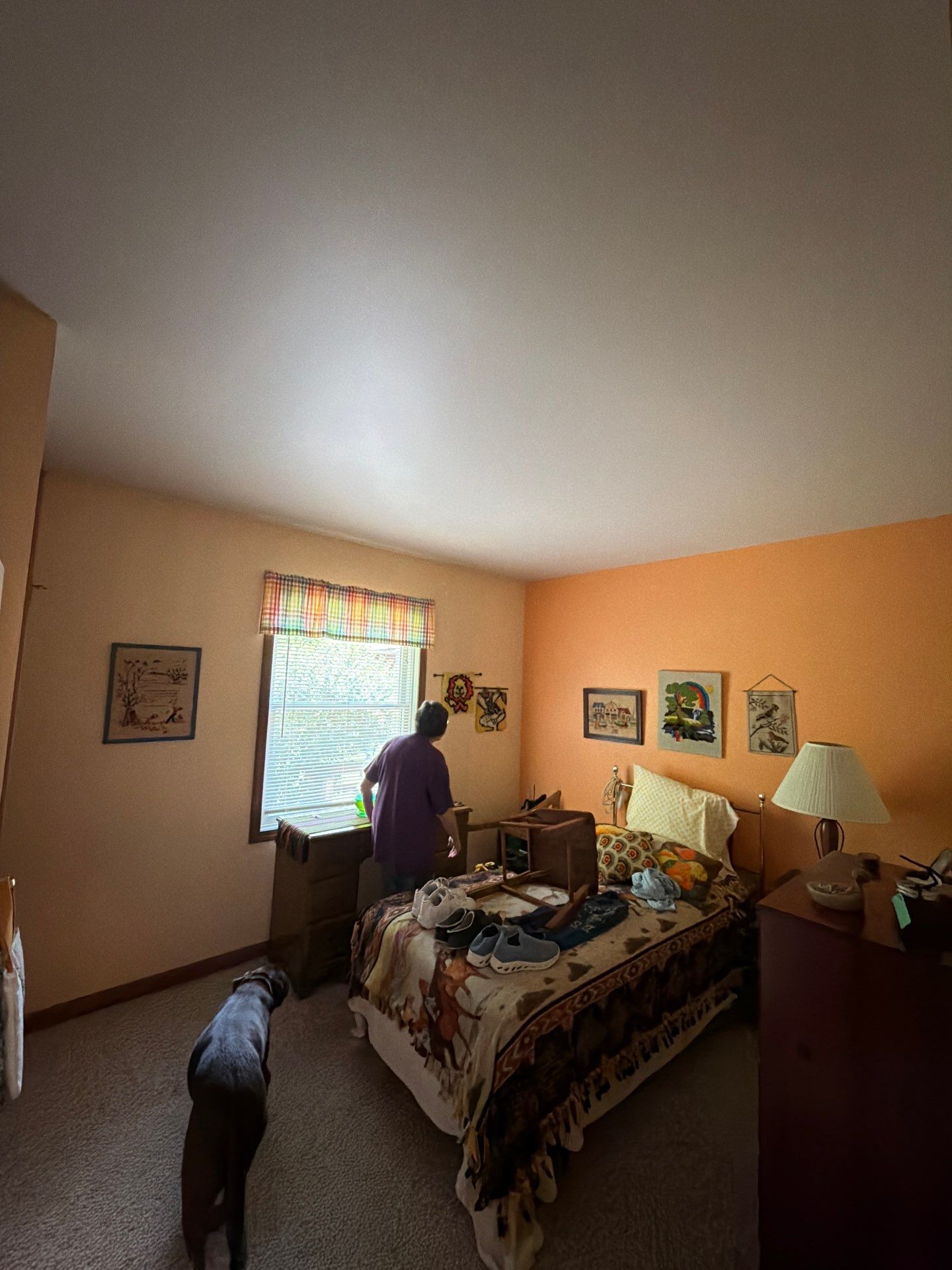 Interior Ceiling Repainting in Fremont Michigan by Gordon Painting