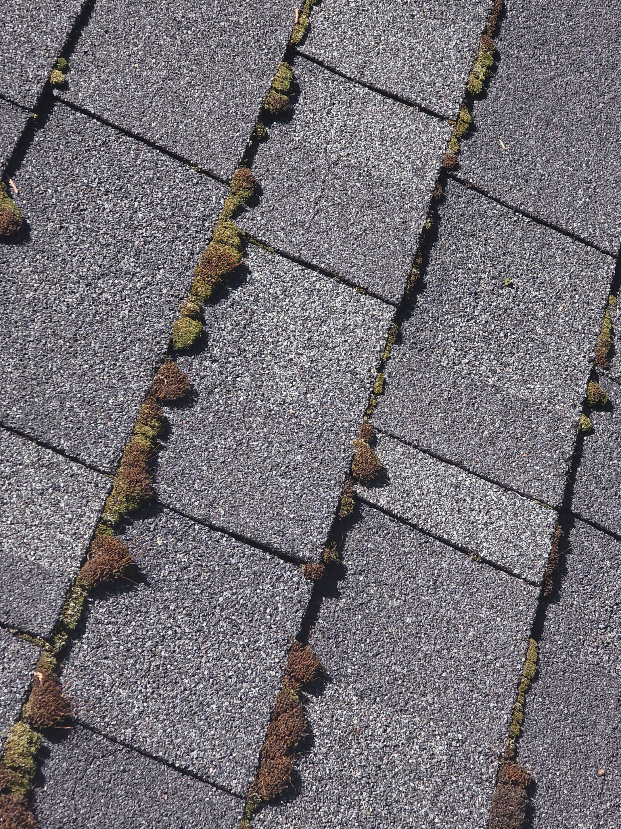 Roof Rejuvenation using Roof Maxx Treatment by Roof Maxx of Folsom
