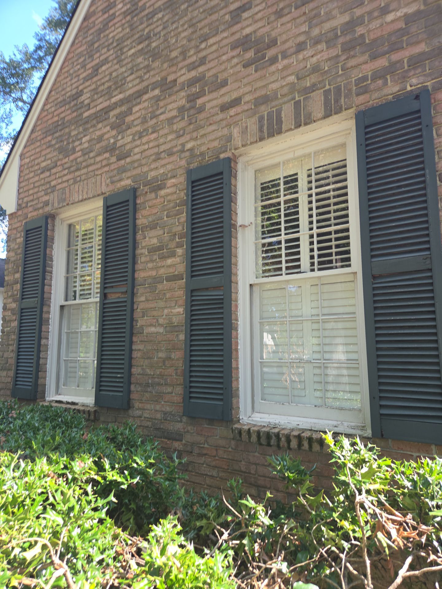 Florio Project in Vestavia  by The Window Source