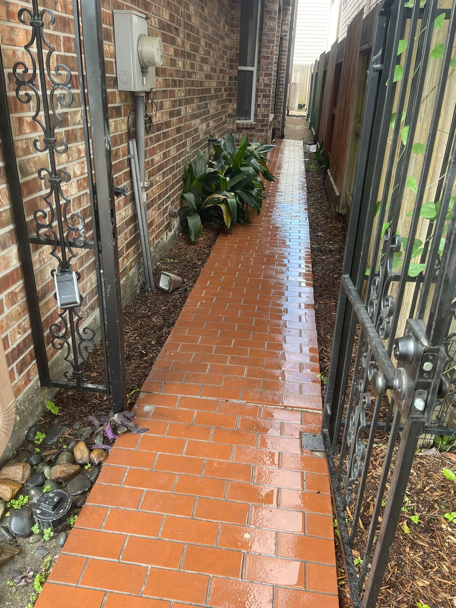 🌟 Blanca’s Backyard Patio Home & Drainage Upgrade by Texas Urban Elements
