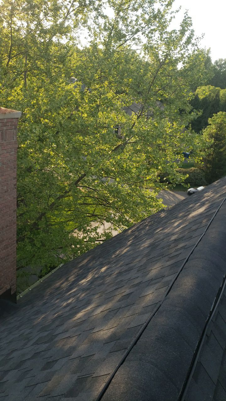 Great Falls: CertainTeed Landmark Pro Designer Shingles in Max Def Moire Black by RM Banning, Inc.