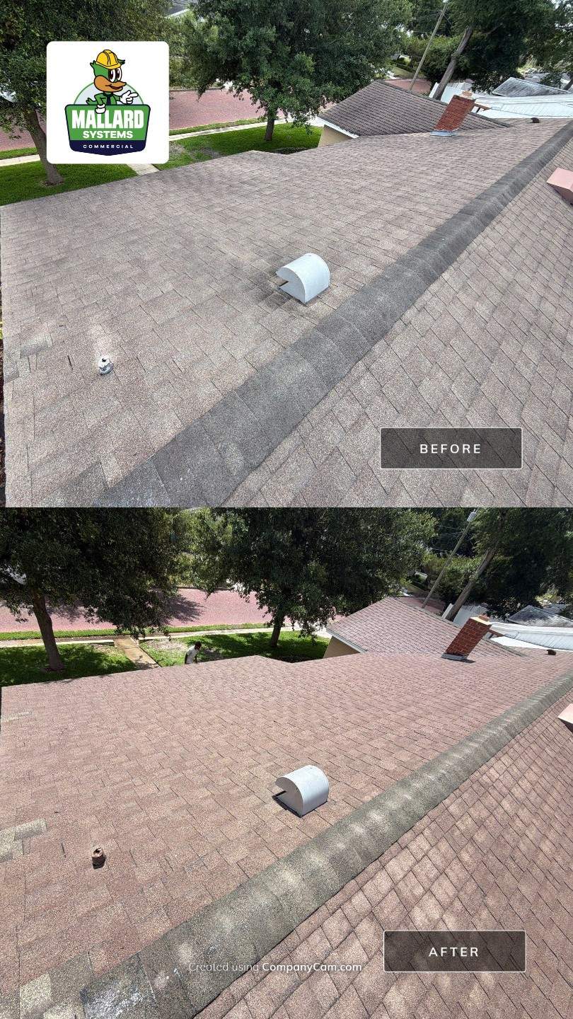 Shingle Roof Cleaning by Mallard Systems