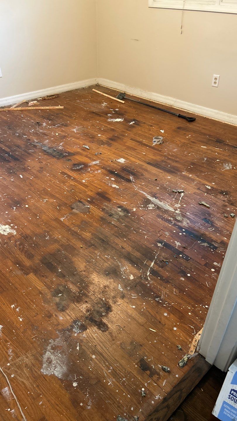 Under Carpet Reveal  by Footprints Floors of Nashville