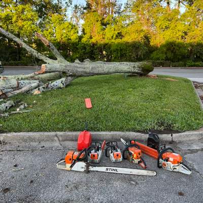 Tree Work | The Avenues Mall