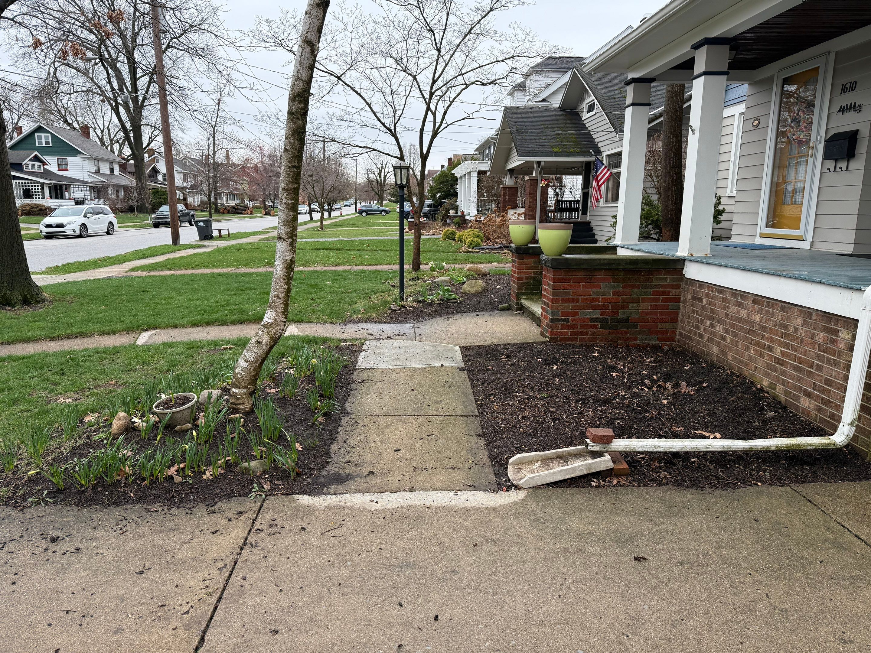 Woodland Flora Project by Elm Rose Gardens