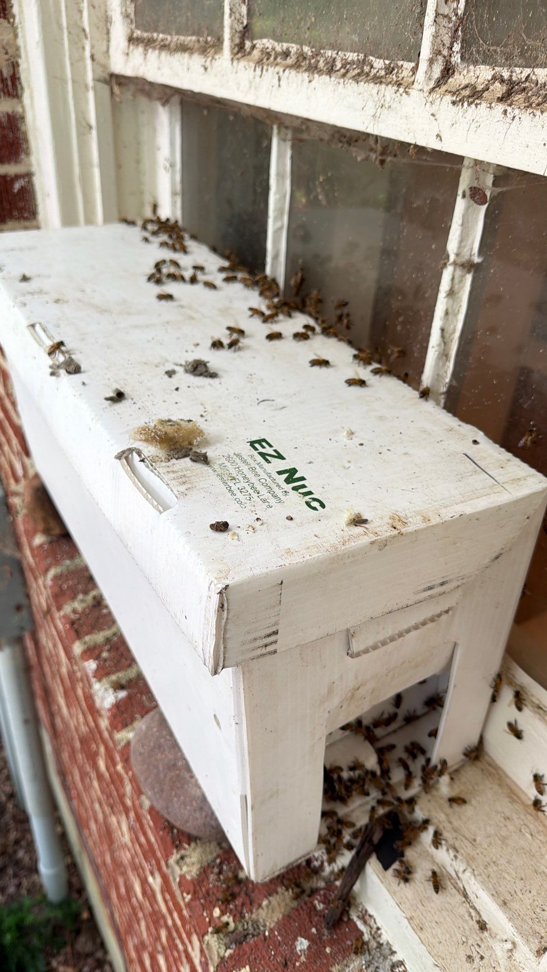 Bee Auth-ority by Rockwall Honey Bee Company